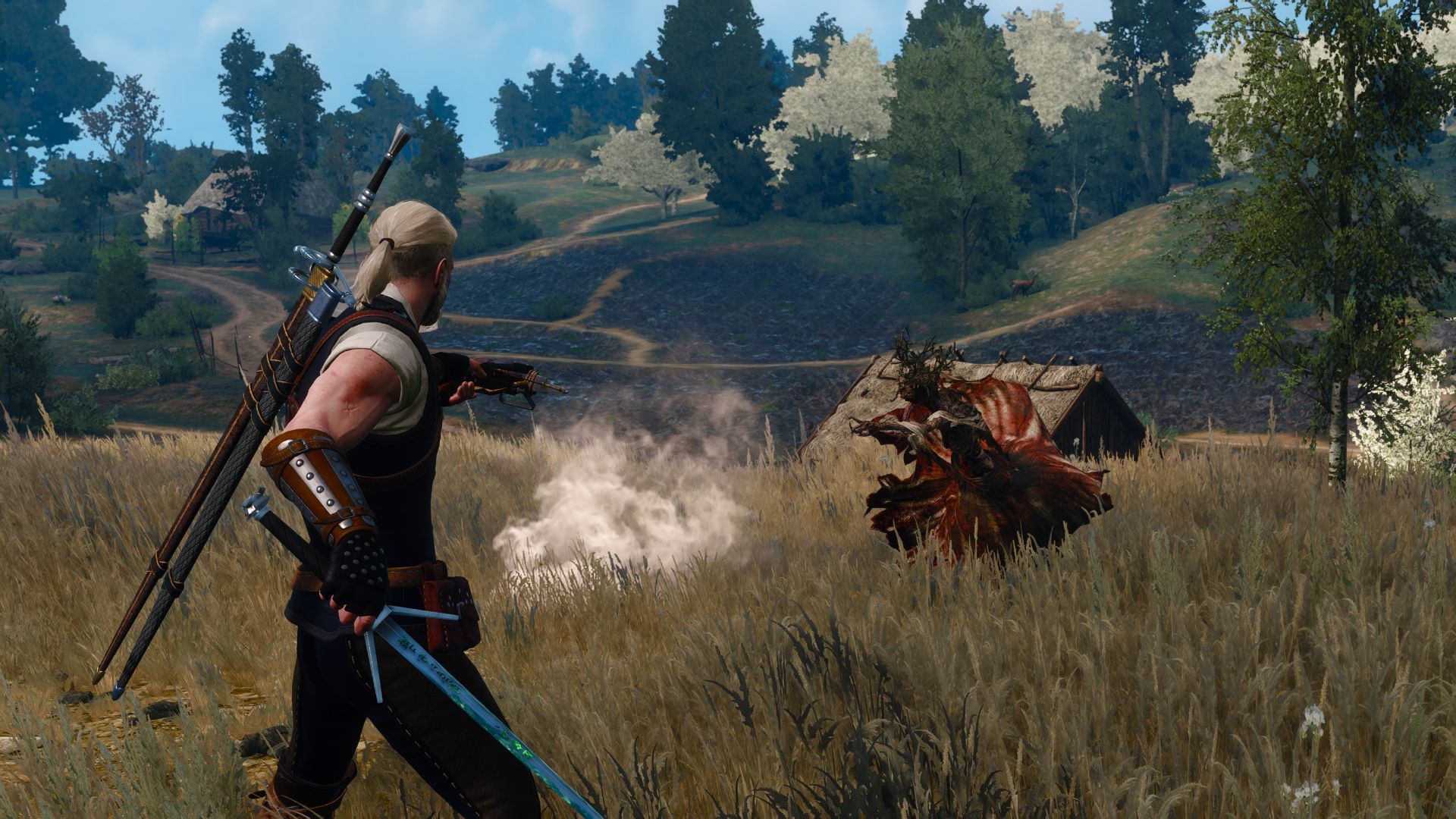 Geralt aims his crossbow at a floating wraith in a field in Novigrad.