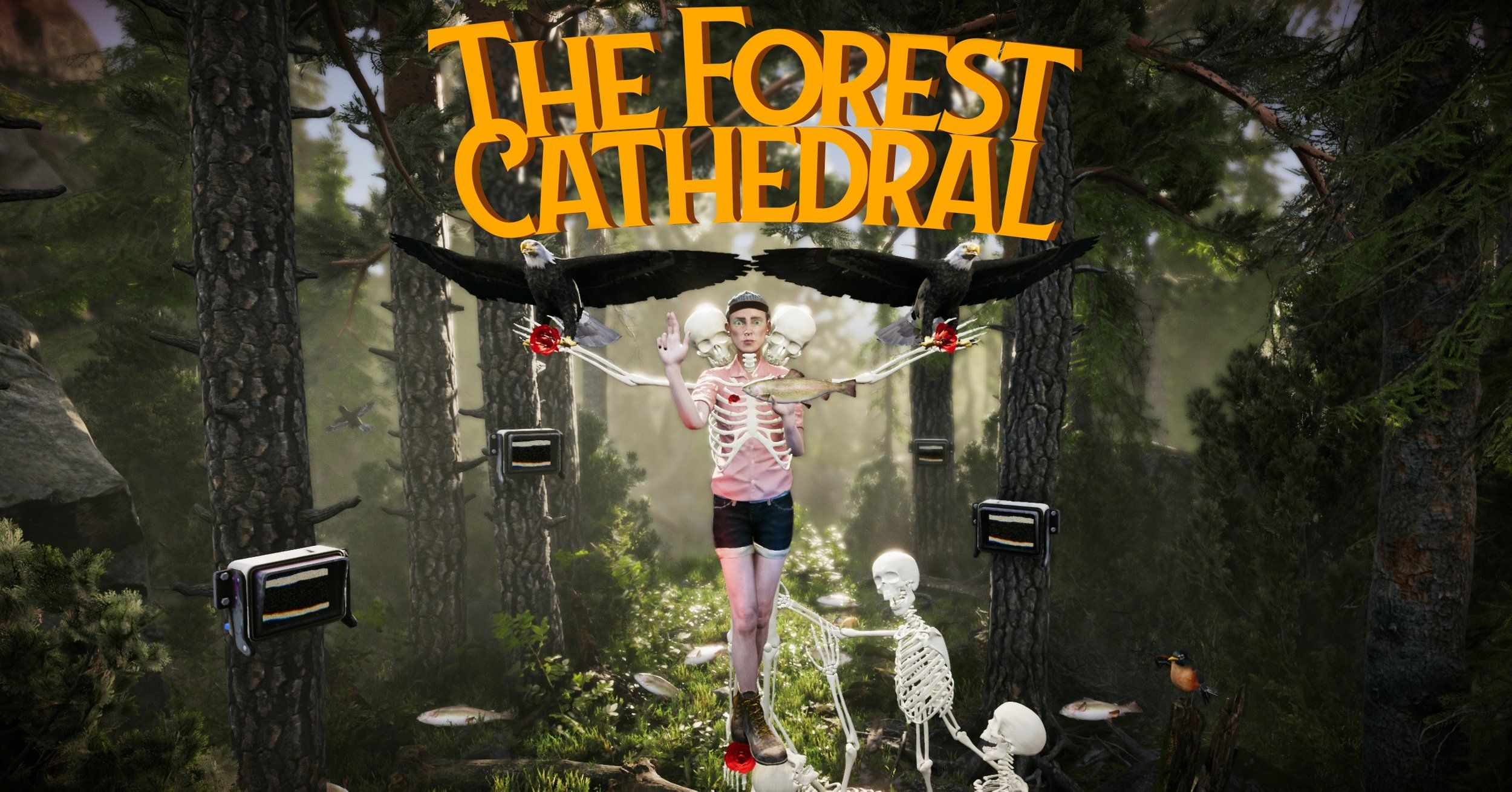 the forest cathedral