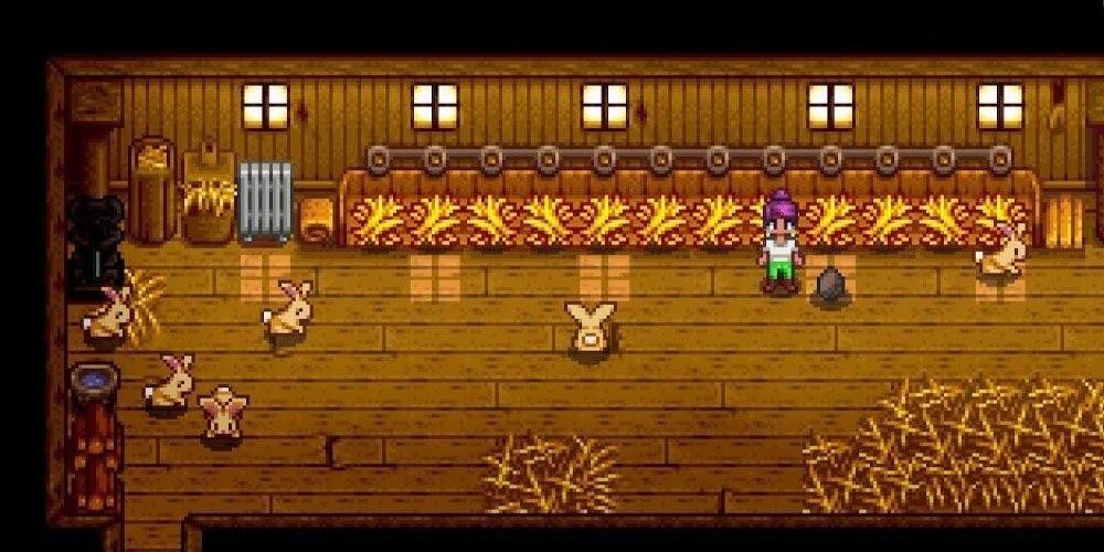 Rabbits hopping around a coop in Stardew Valley the video game