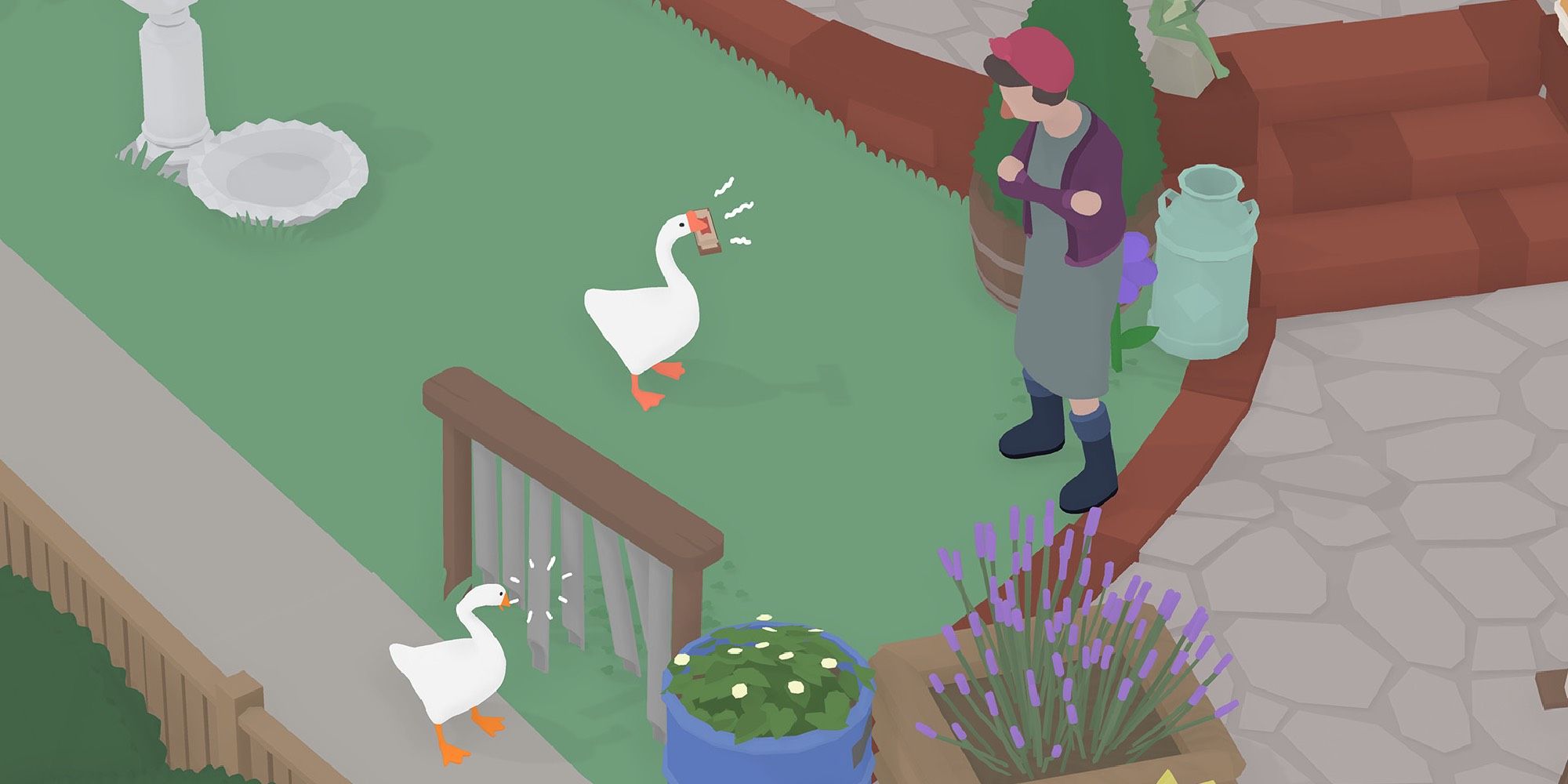 Two geese in a garden honking at a cross-armed woman