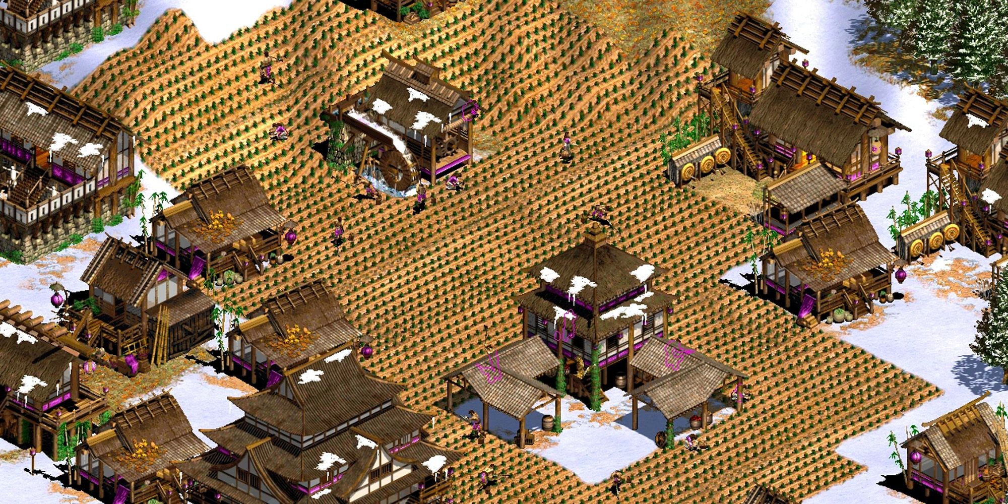 vast fields of farms in age of empires 2 definitive edition