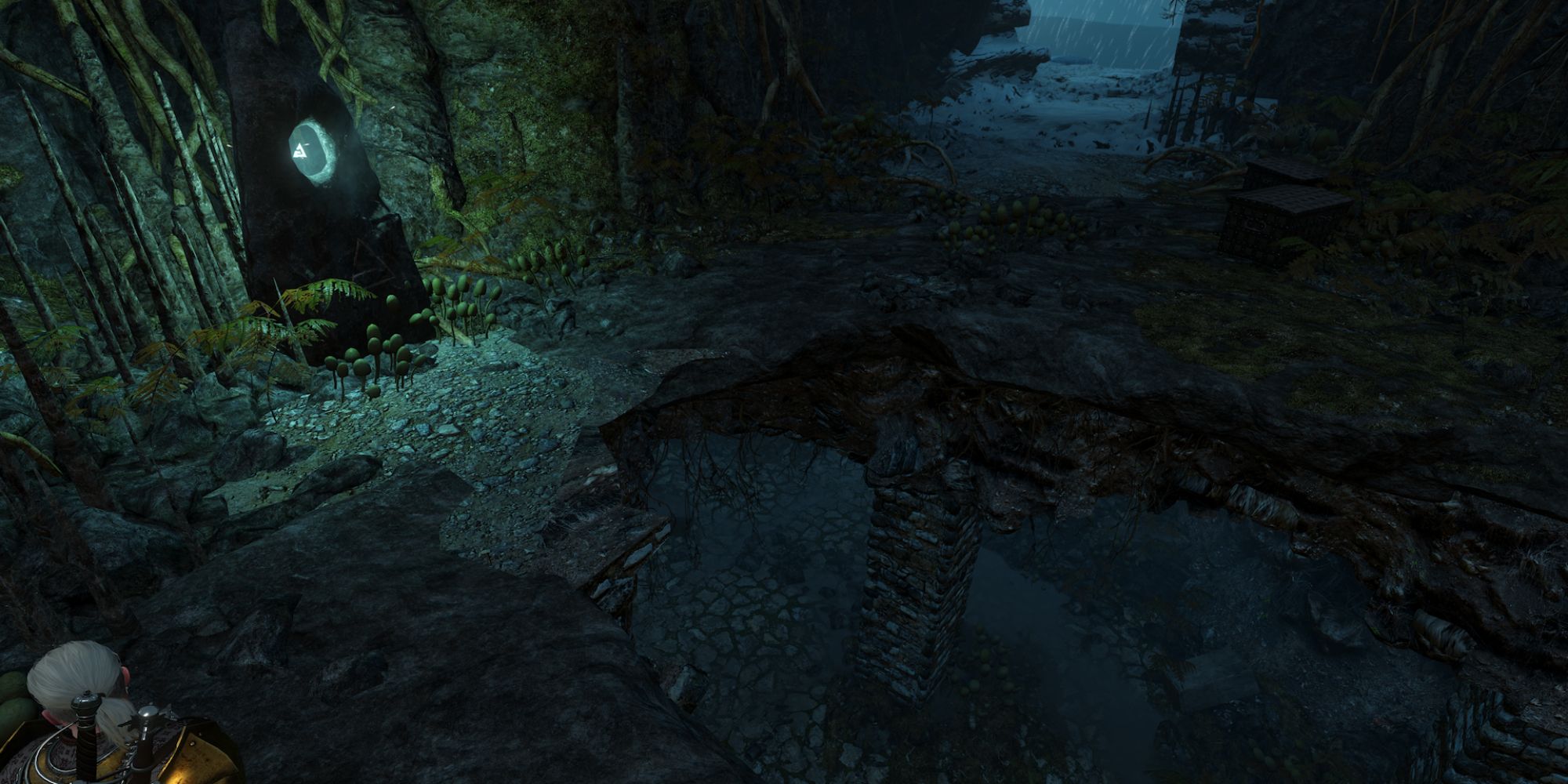 Witcher 3 Screenshot Of Skellige Place Of Power 7