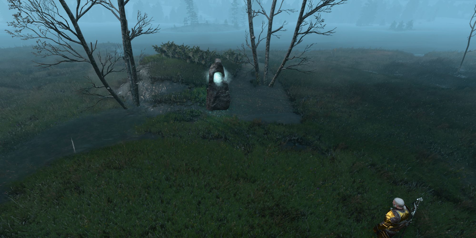 Witcher 3 Screenshot Showing Velen And Novigrad Place Of Power Two