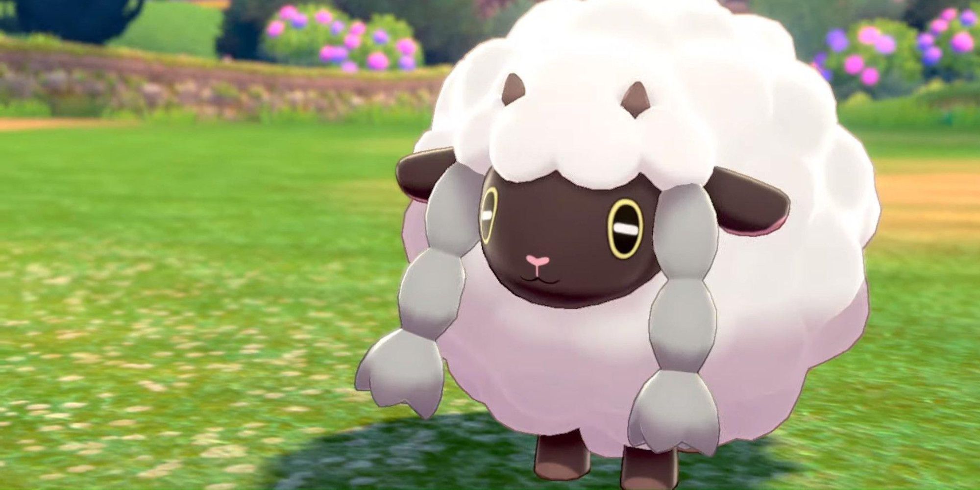 Wooloo from Pokemon Sword and Shield