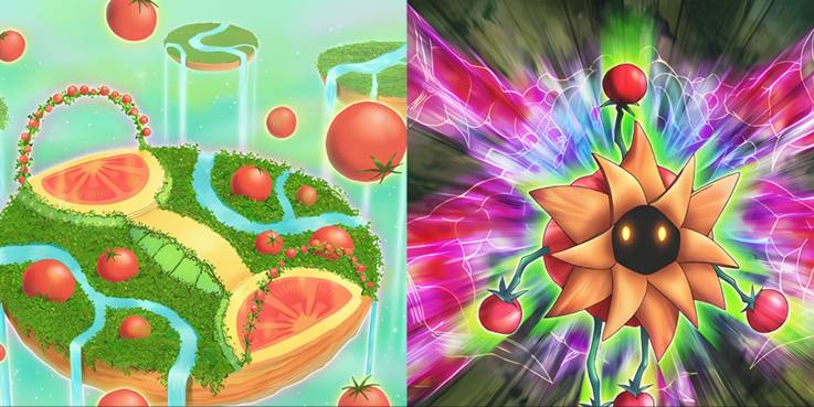 yugioh zexal anime tomato archetype with tomato paradise and tomato king card art