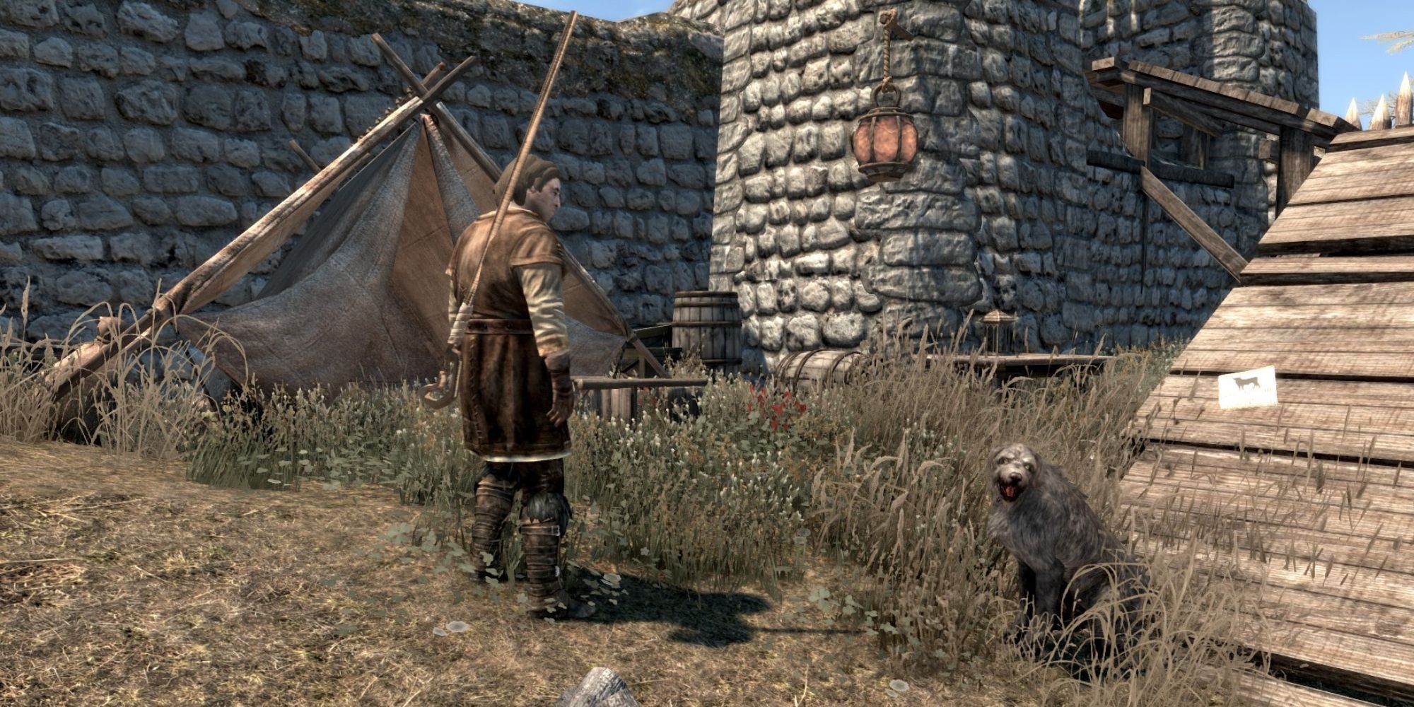 Skyrim: Best Animal Mods