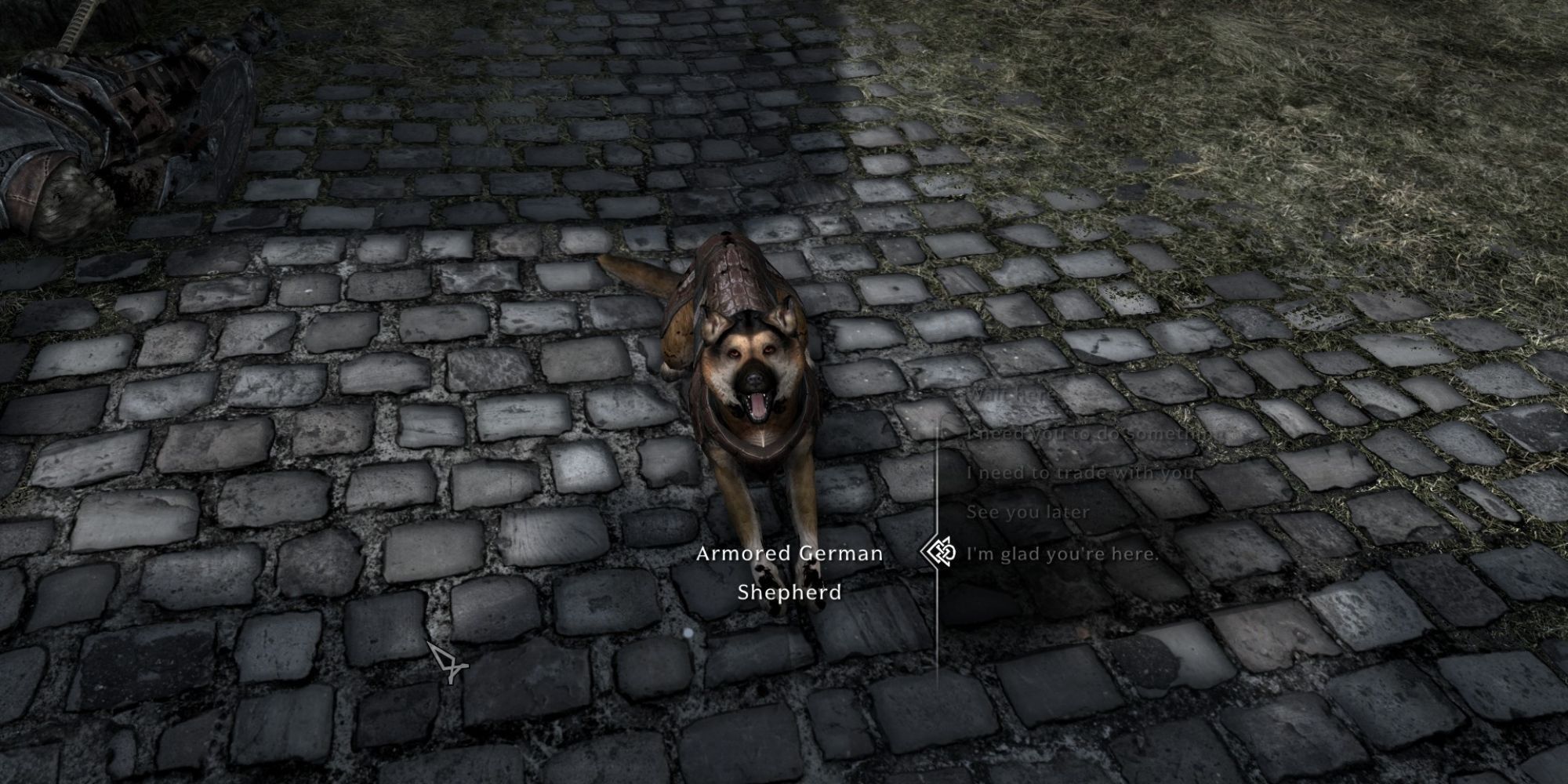 Skyrim: Best Animal Mods