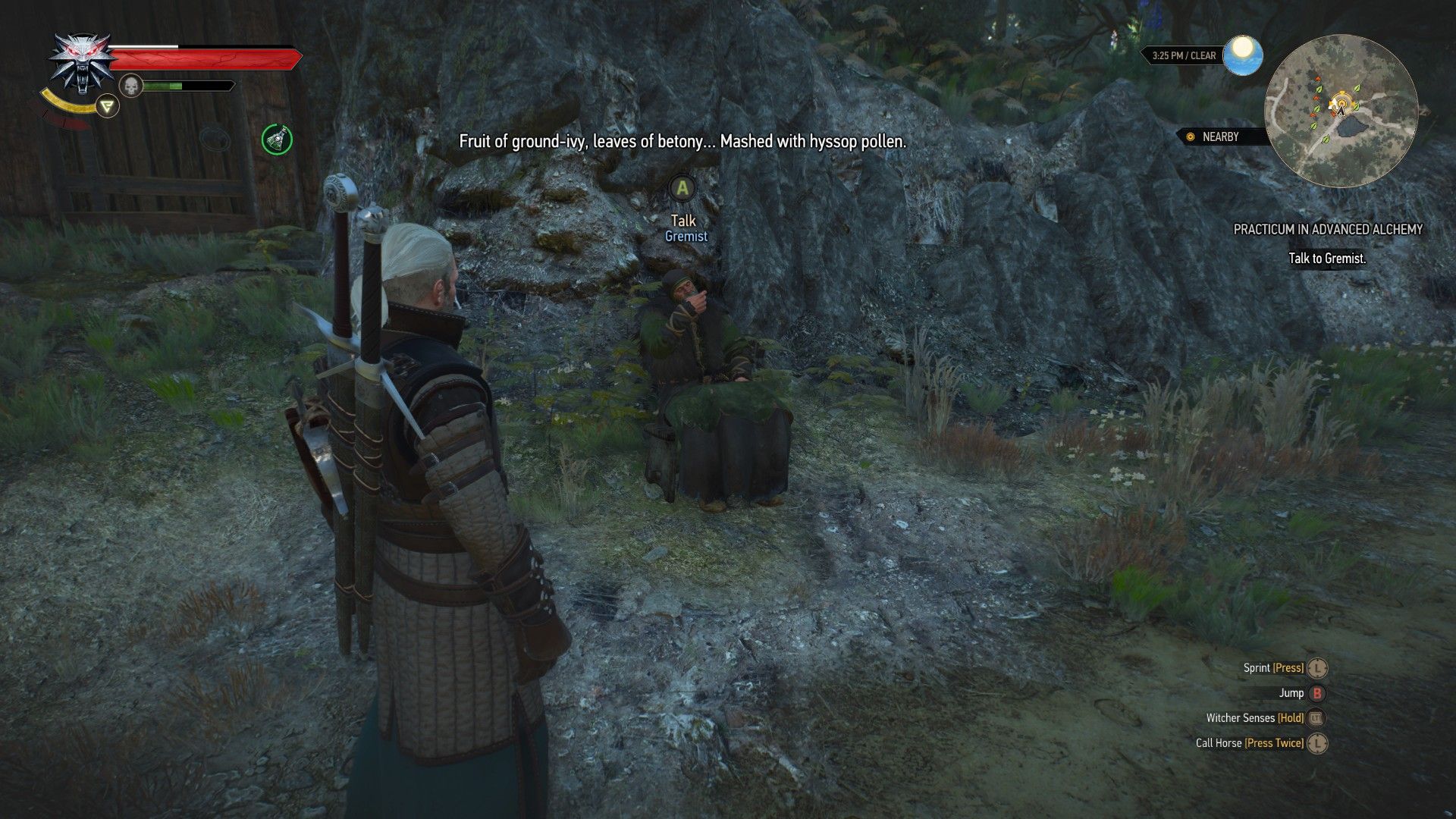 Geralt stands outside the cave and hears an old coot complaining about the world.