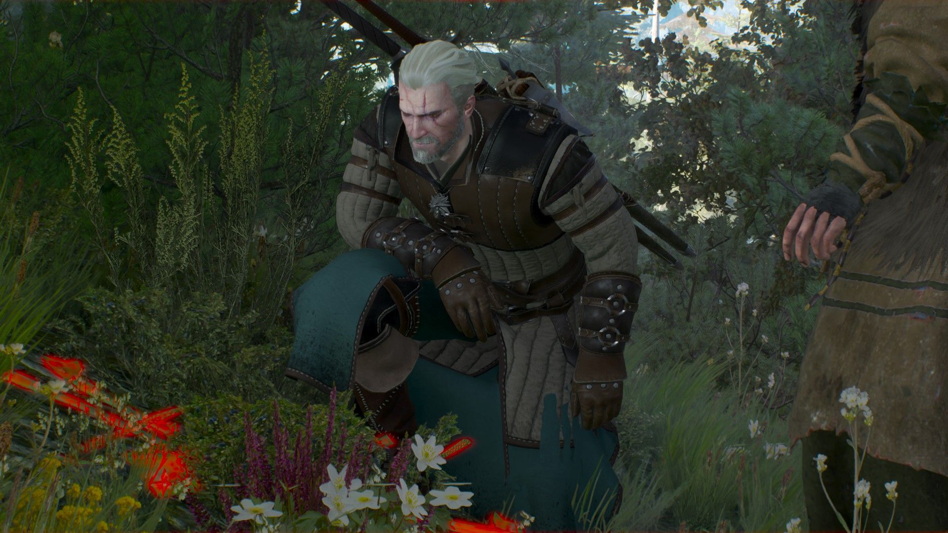 Geralt kneels examining the plants while another druid speaks to him in the Forest of Skellige.