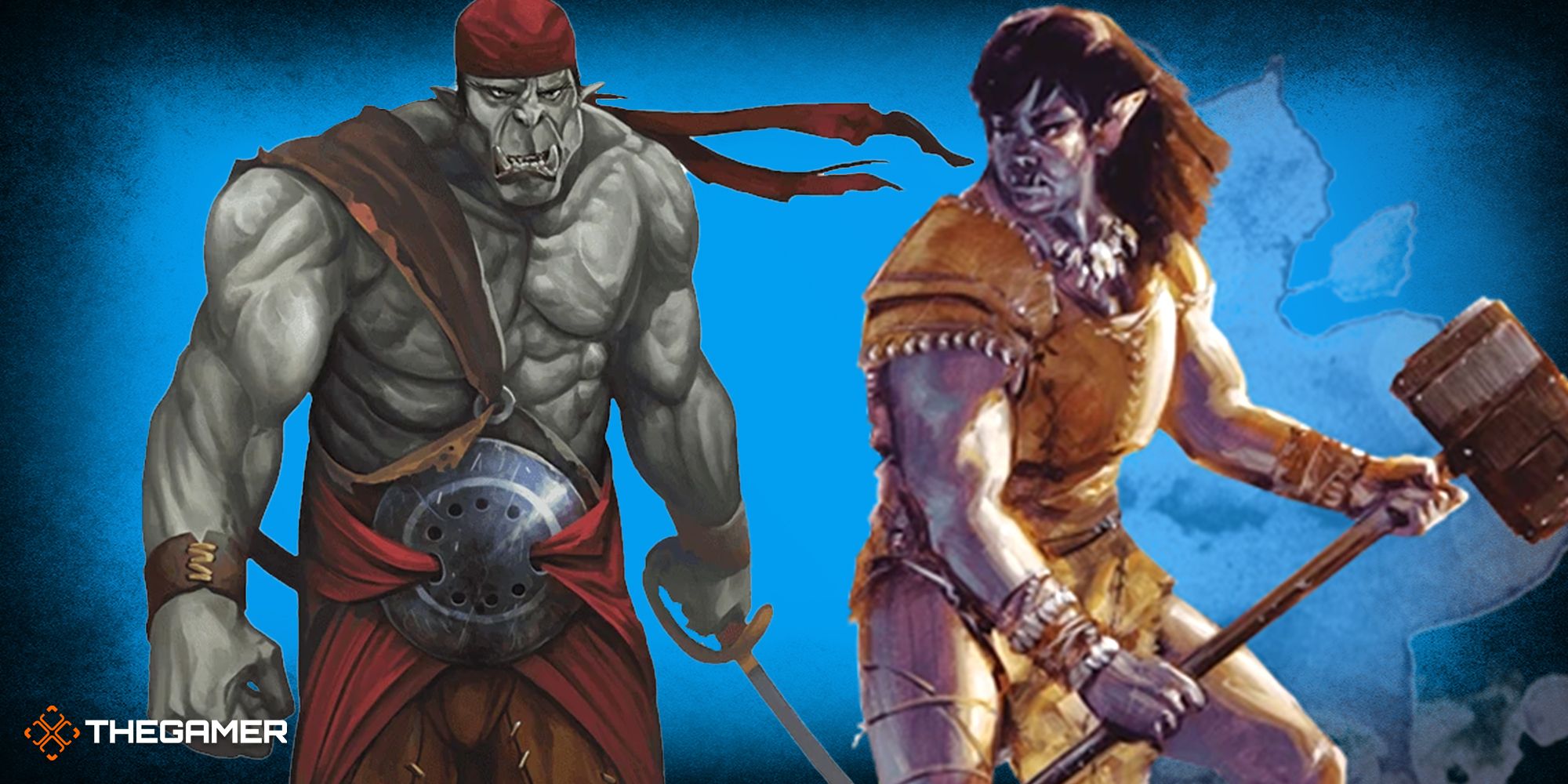 D&D Races Vs Species Controversy: What To Know About 5e Removing Races