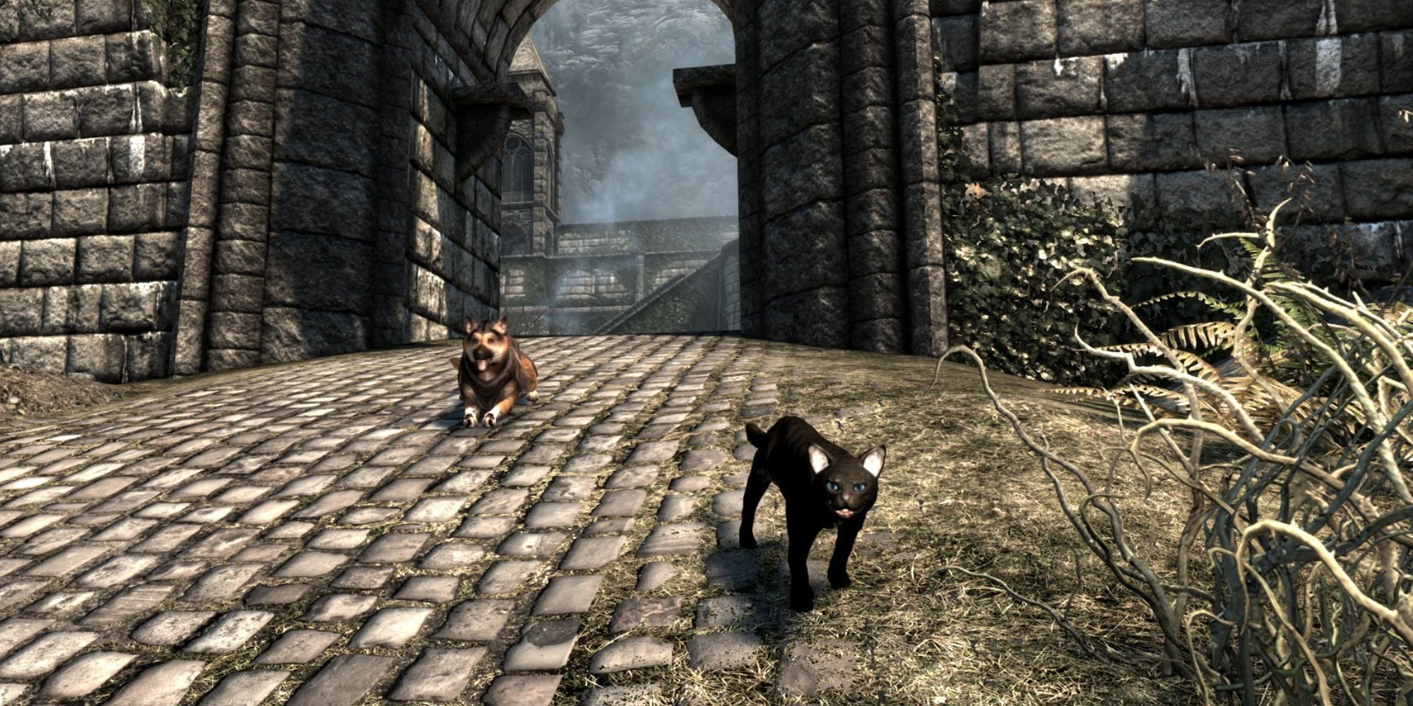 Skyrim: Best Animal Mods