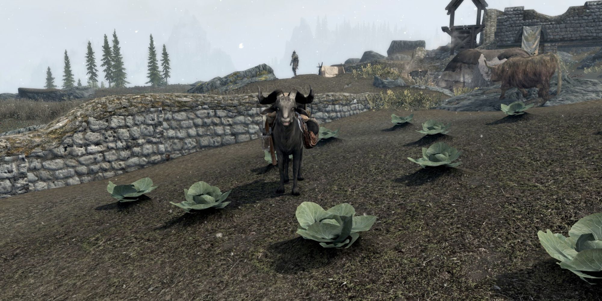 Skyrim: Best Animal Mods