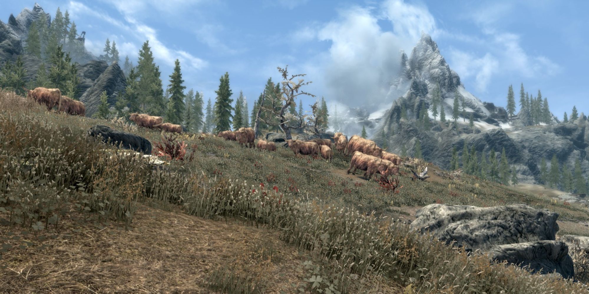 Skyrim: Best Animal Mods