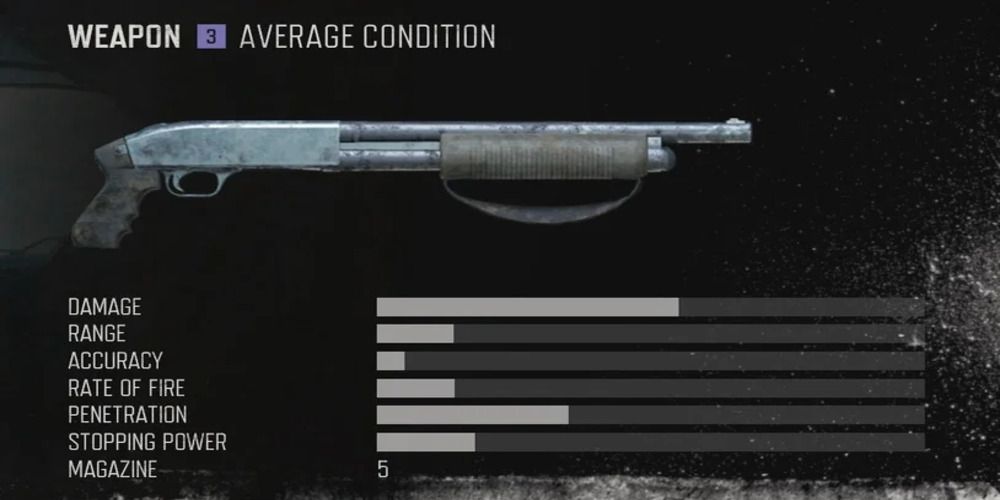 A screenshot of the stats screen of Boozer's Shotgun.