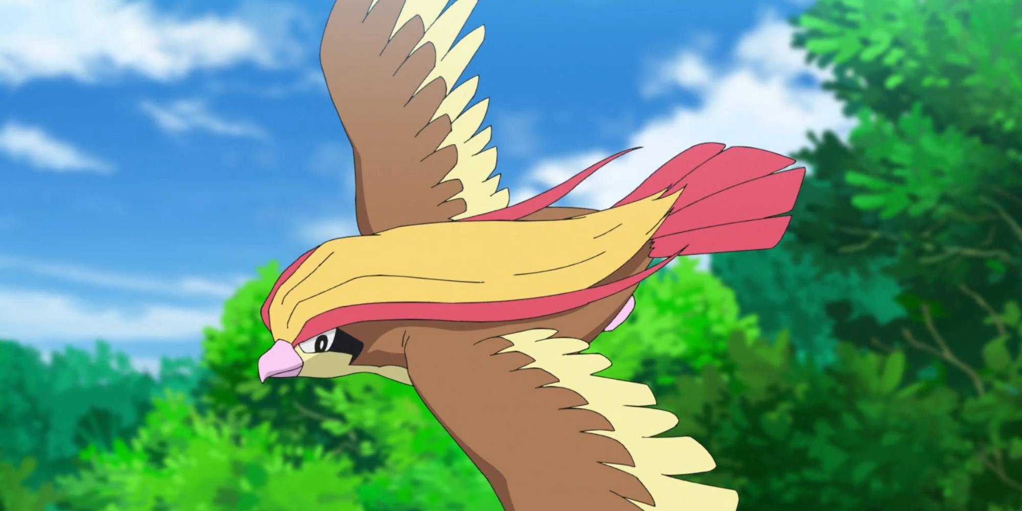 Pidgeot gif