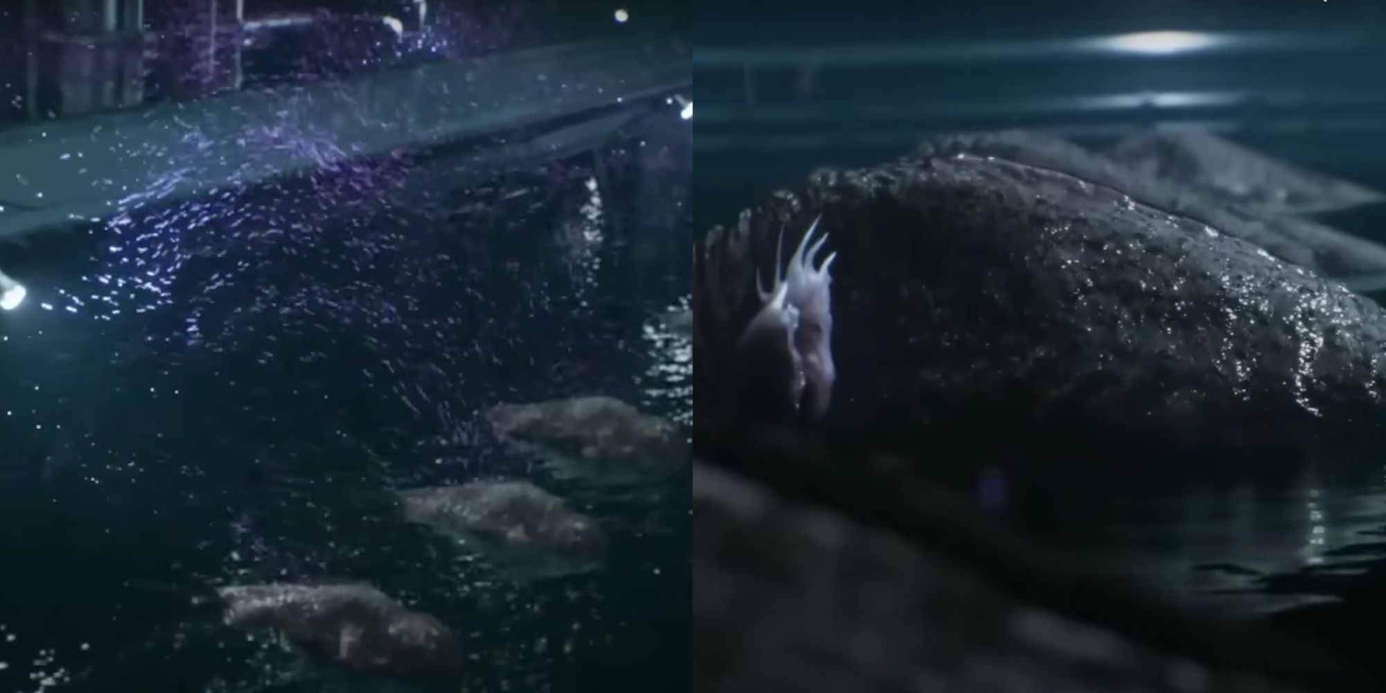 A split image of a zombie aquatic species that releases virus particles into the air, and a close-up of its body with special gills.