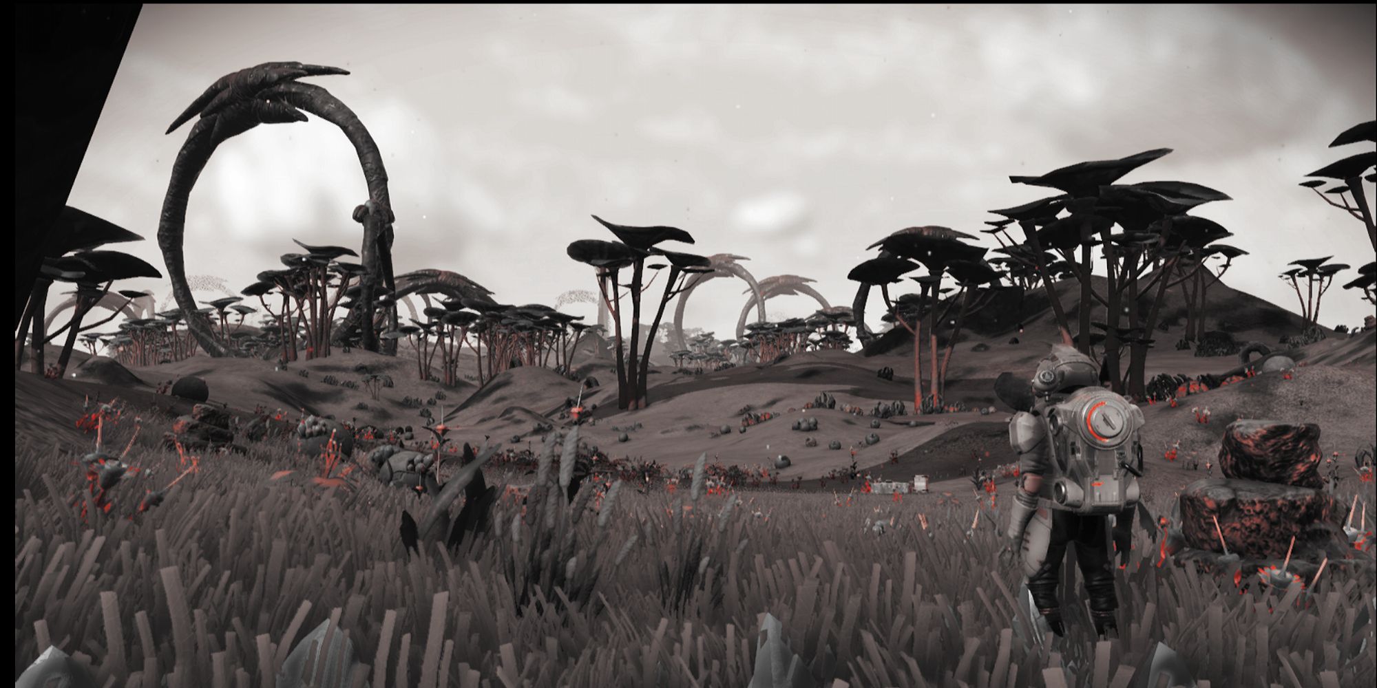 An image from an Exotic Planet in No Man's Sky, which has turned the entire game black and white, and contains strange and fantastical plantlife. 