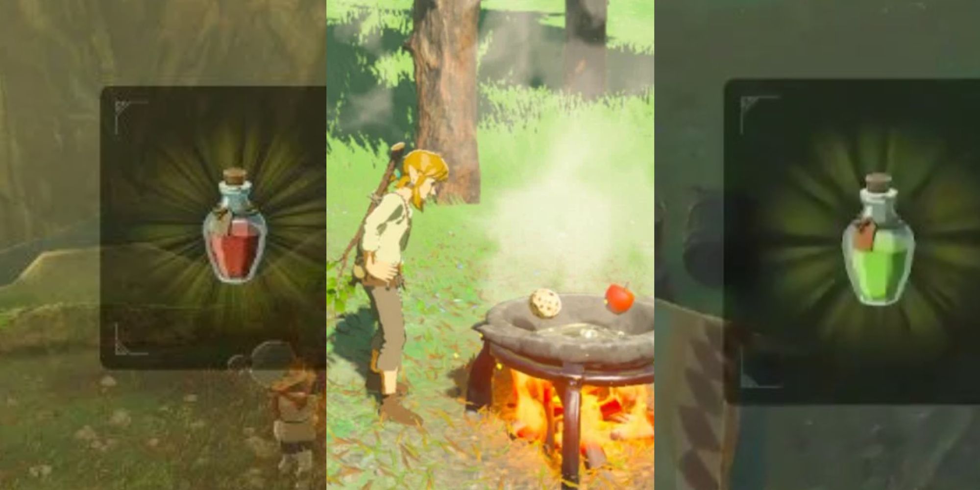 Zelda: BotW - All Elixir Recipes