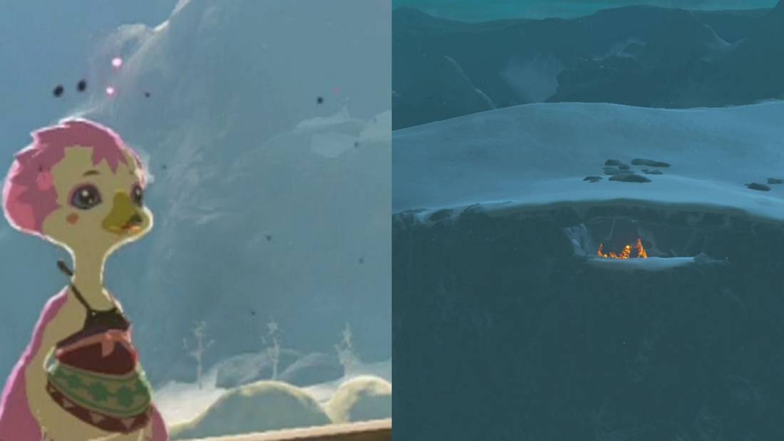 A Bird in the Mountains Botw: Ultimate Guide to Find It Fast