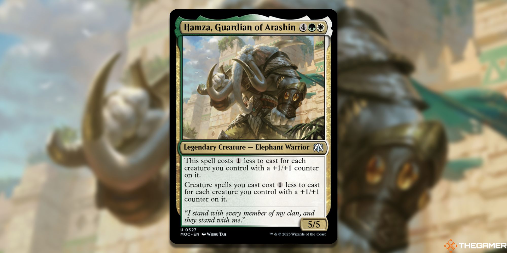 MTG: Hamza the Guardian of Arathin Cards