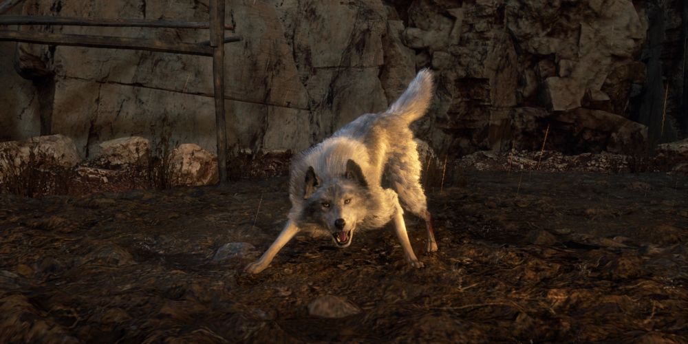 The dog appears during a boss battle in Resident Evil 4 Remake.