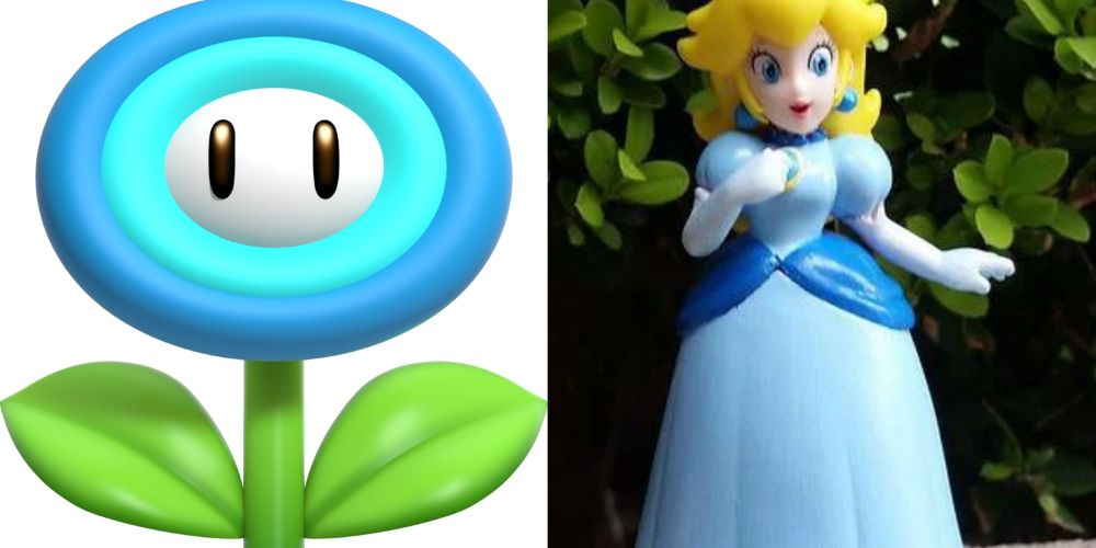 Video Game Ice Flower and Peach Ice Costume
