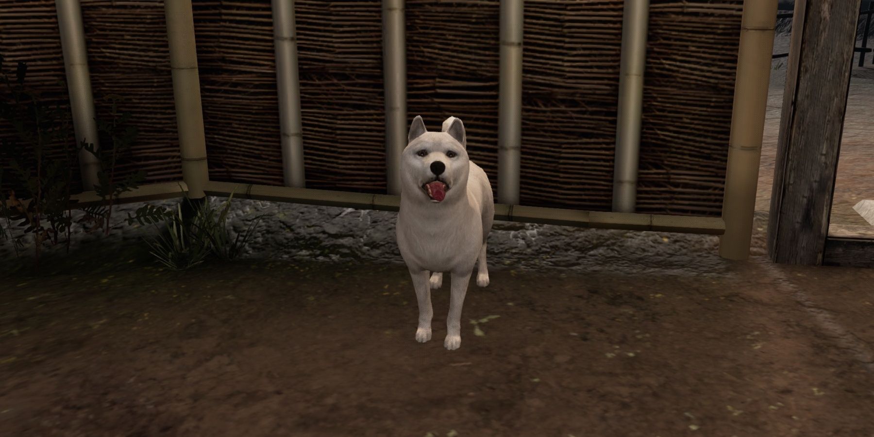 The Injured Dog pants happily with its tongue out while sitting near the fence at Ryoma's home.