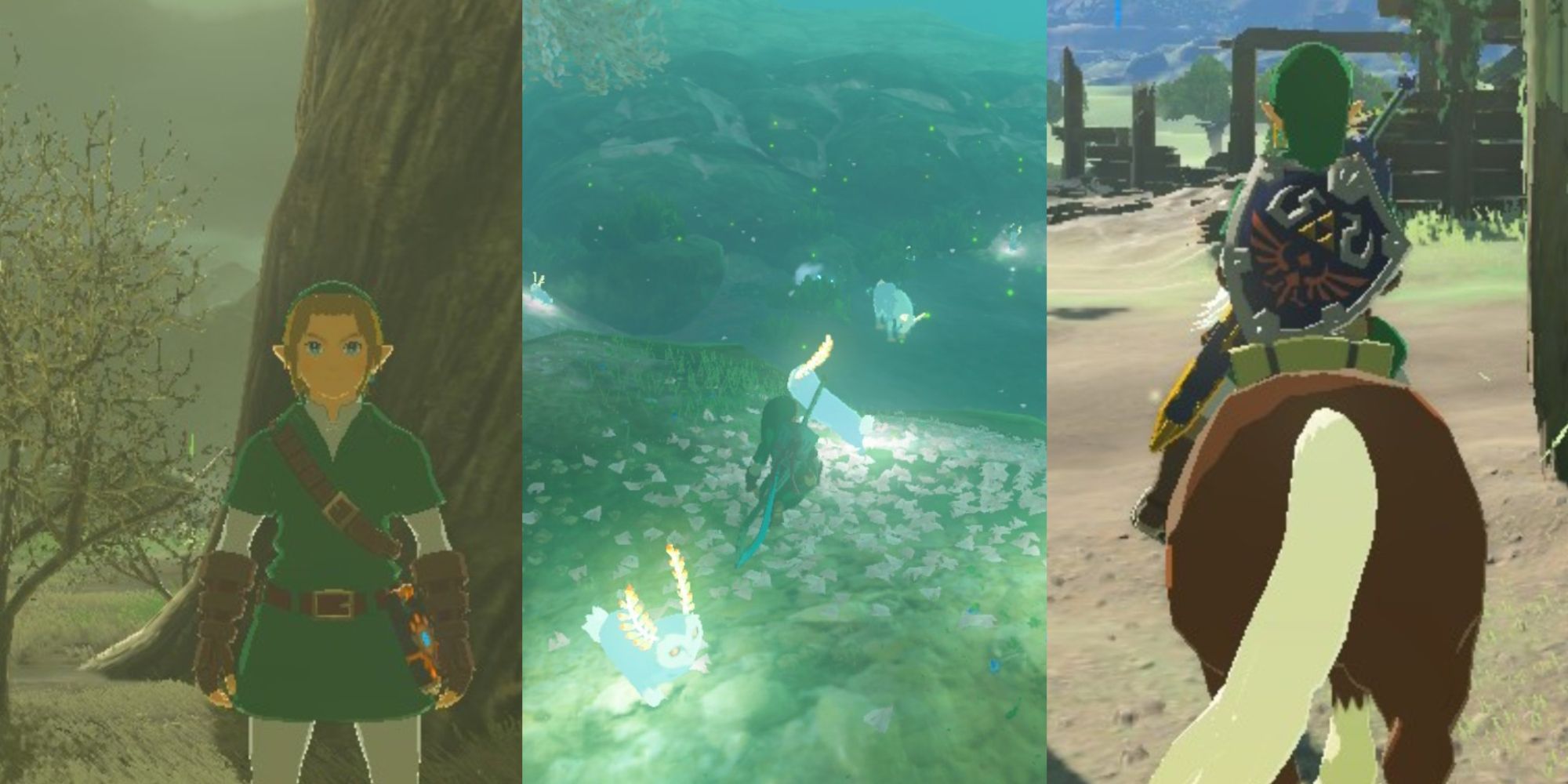 Secret Areas In The Legend Of Zelda