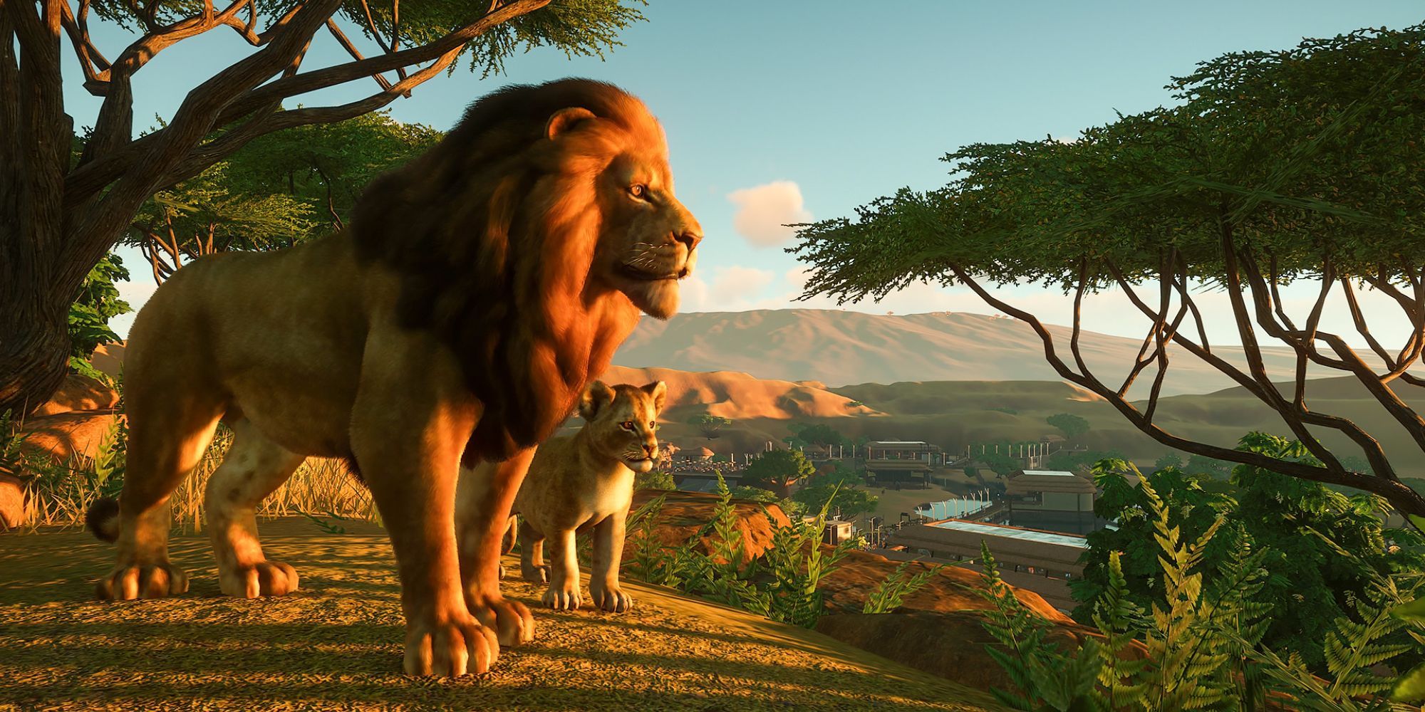 planet zoo lion and cub