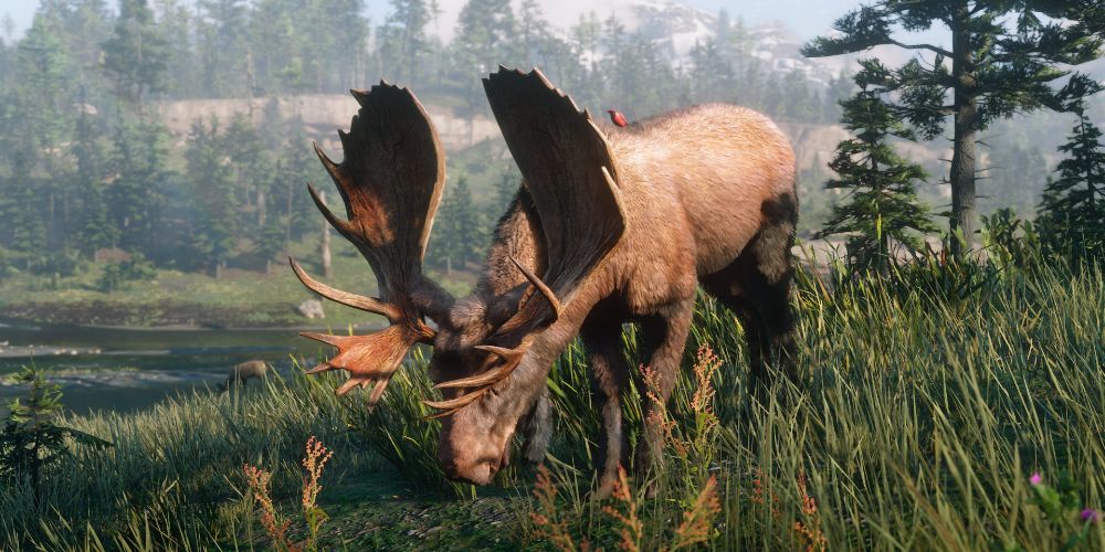 Read Dead Redemption 2 - Legendary Moose