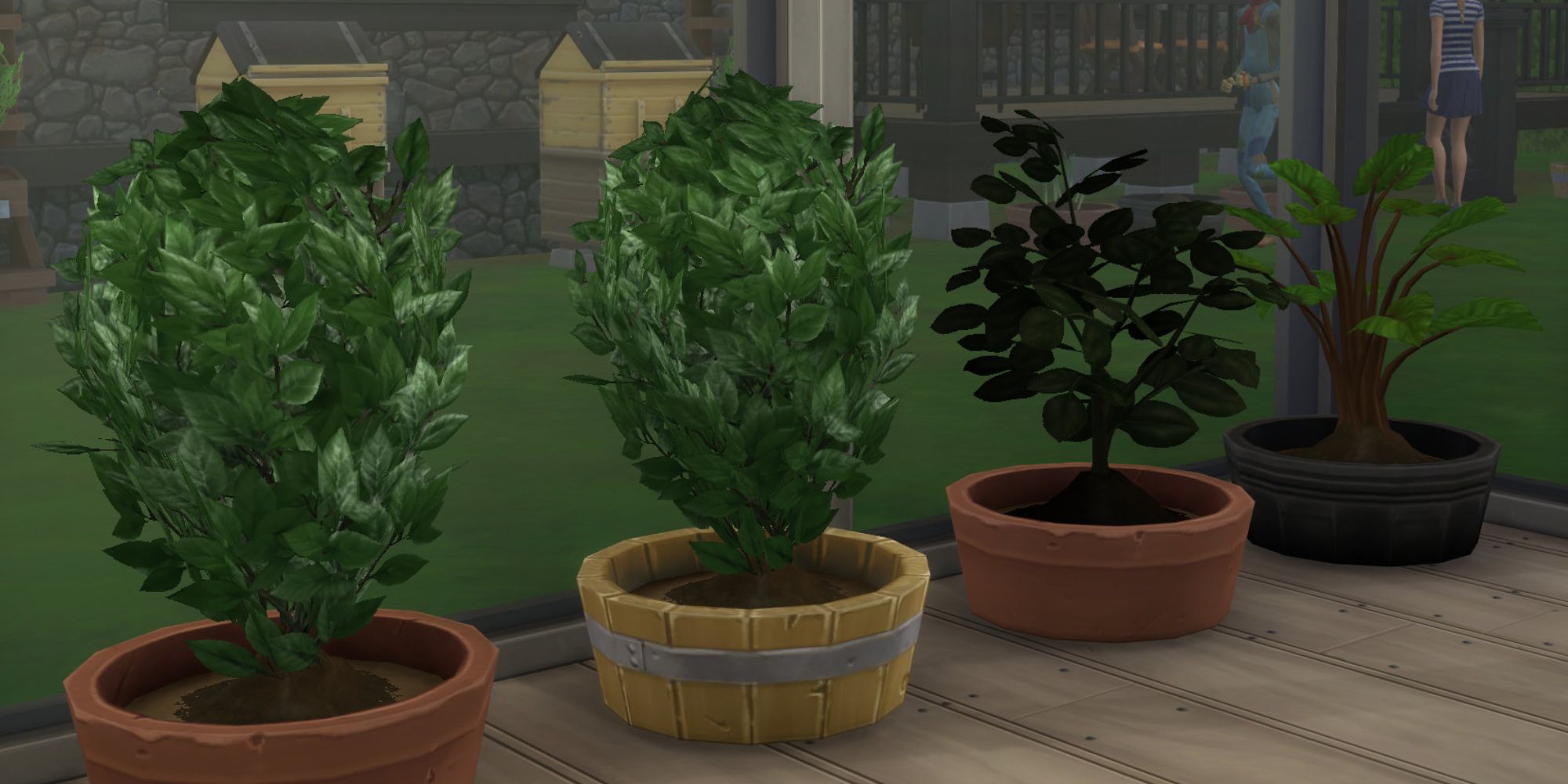Sims 4 close up of plants in a line