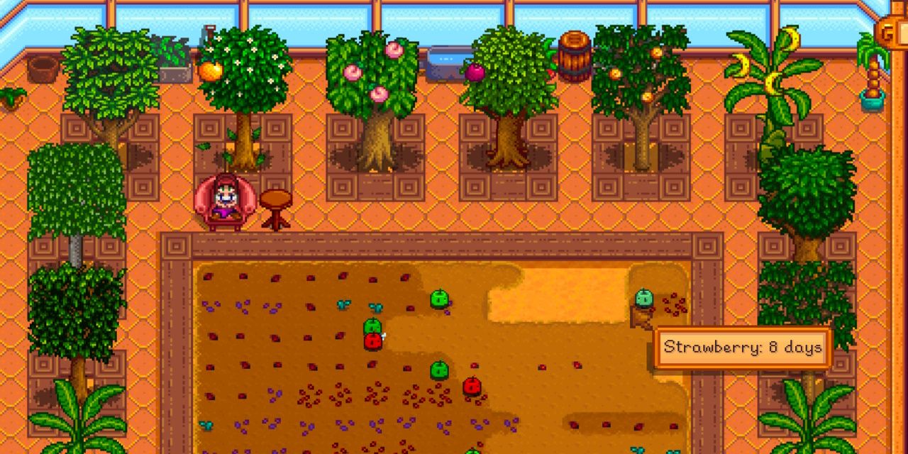 Самые полезные моды для Stardew Valley