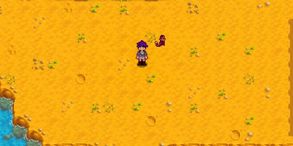 Stardew Valley Character wearing Cinderclown Shoes