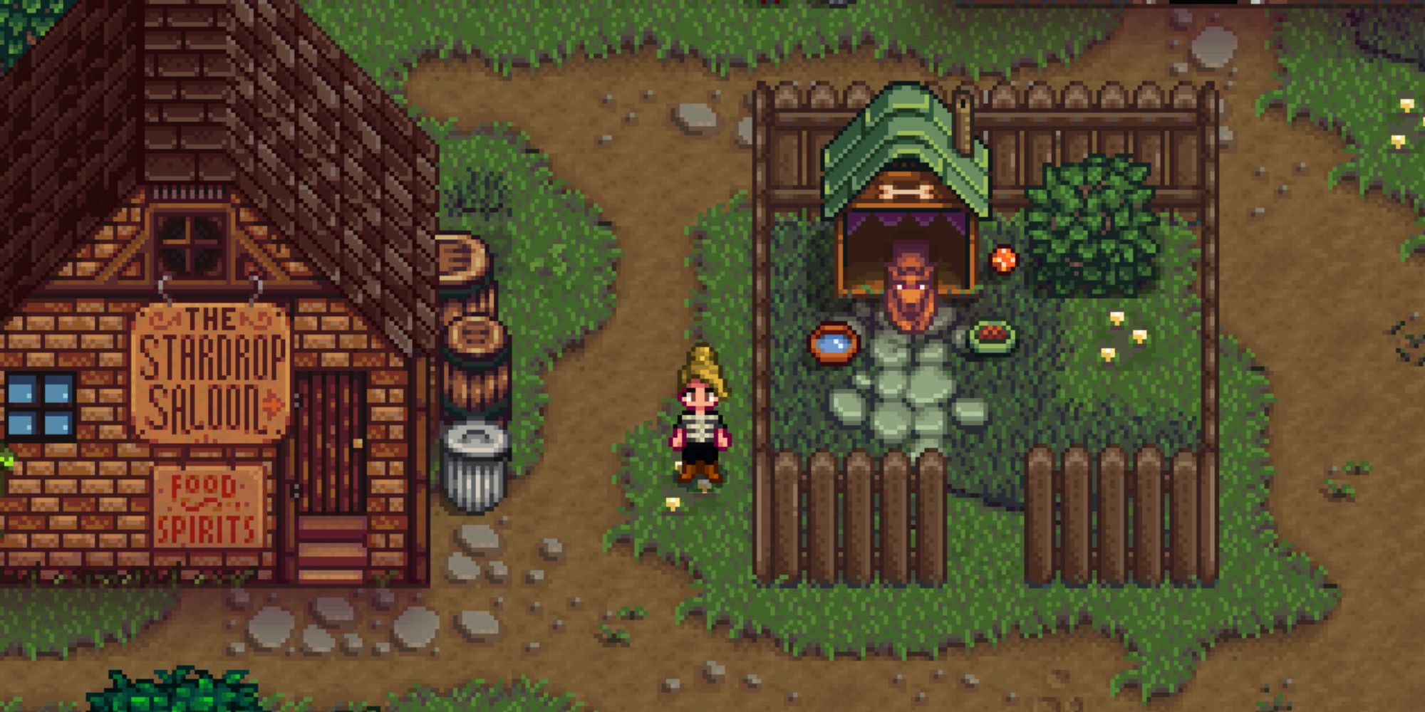 Stardew Valley in between the saloon and Alex's dog