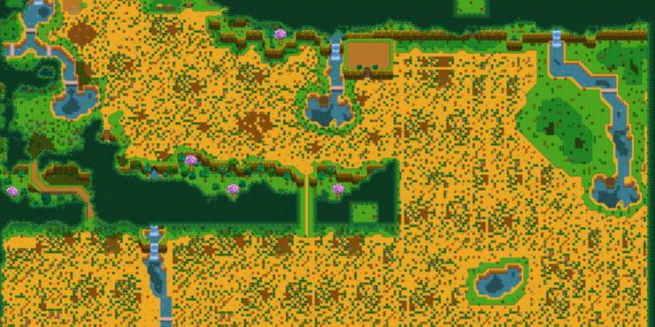 Big Forest Farm