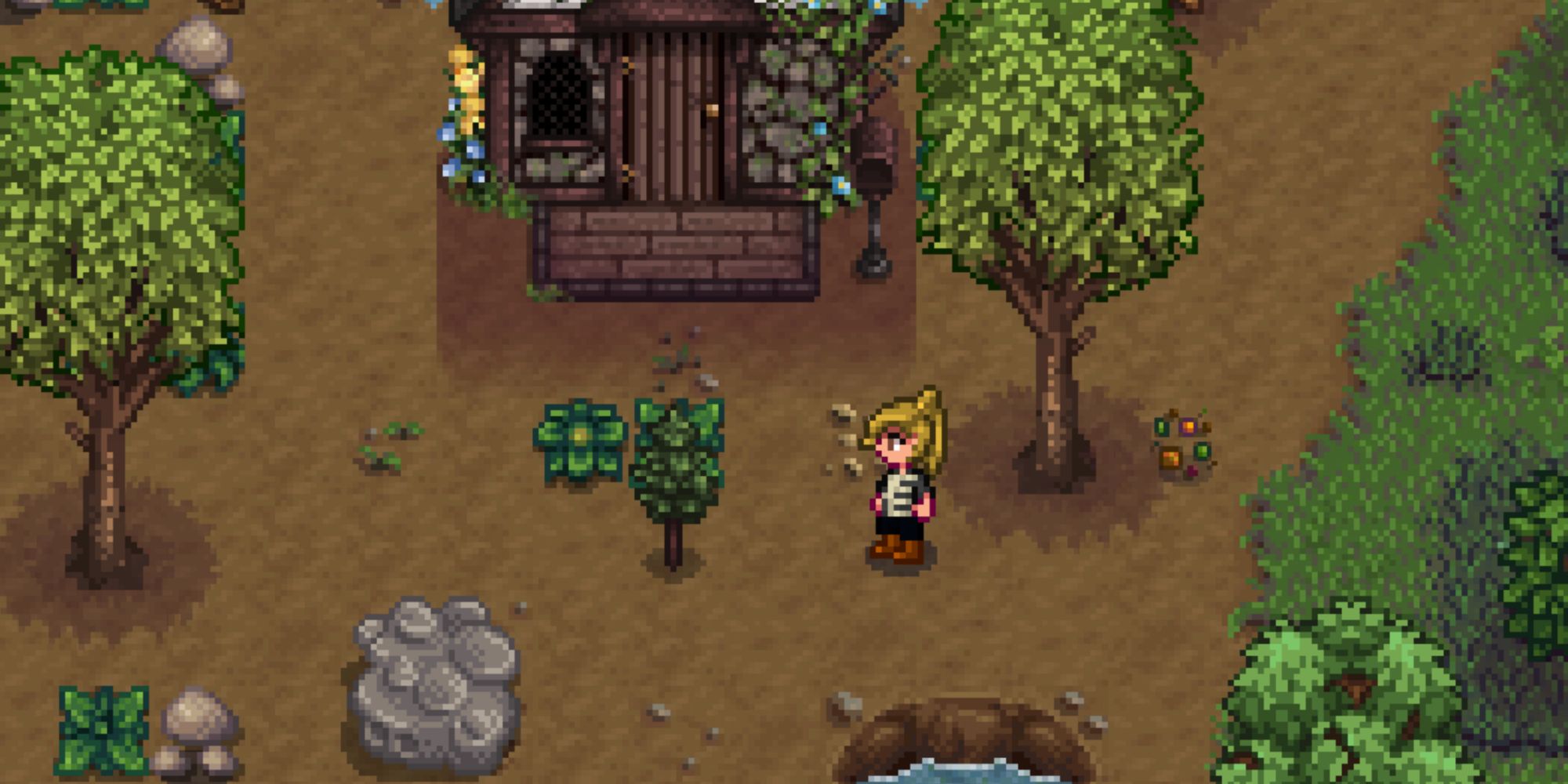 stardew valley standing in front of cabin on forest farm map