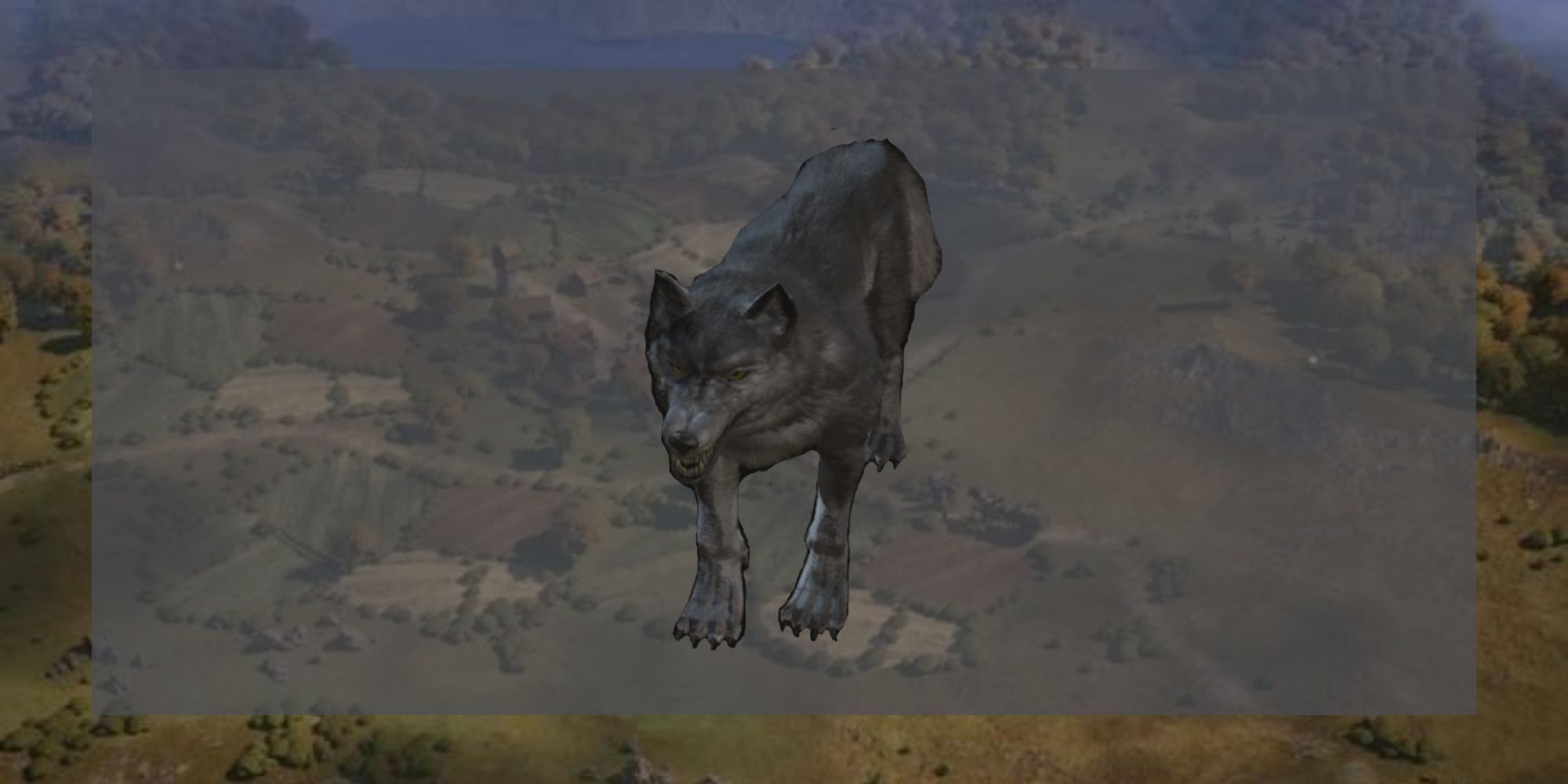 Wolf from Wartales