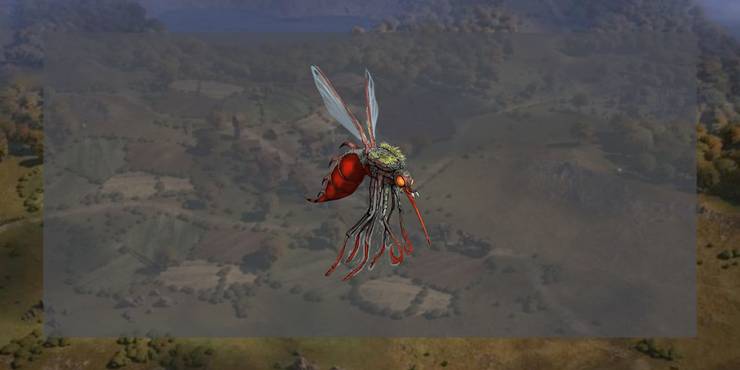 Cardinal Mosquito