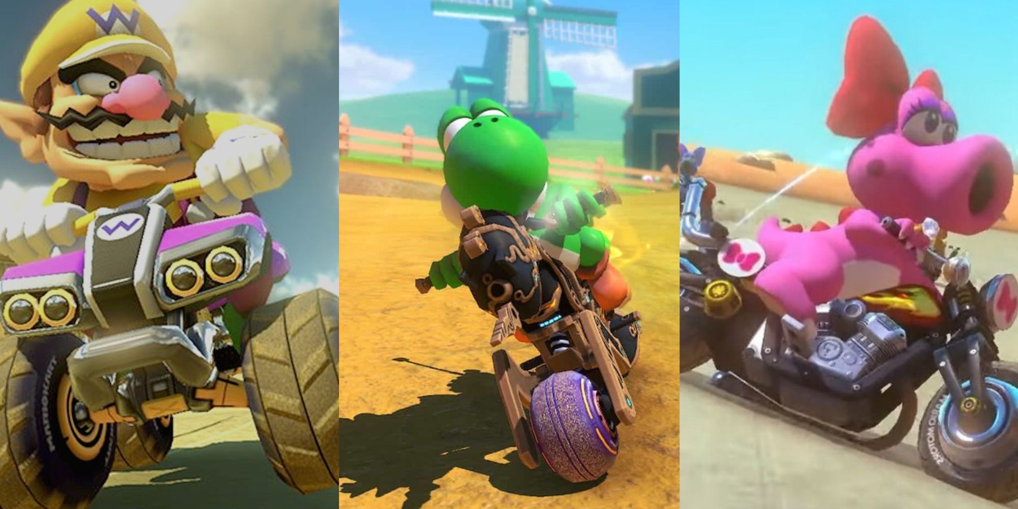 Wario, Yoshi und Birdo fahren Rennen in Mario Kart 8