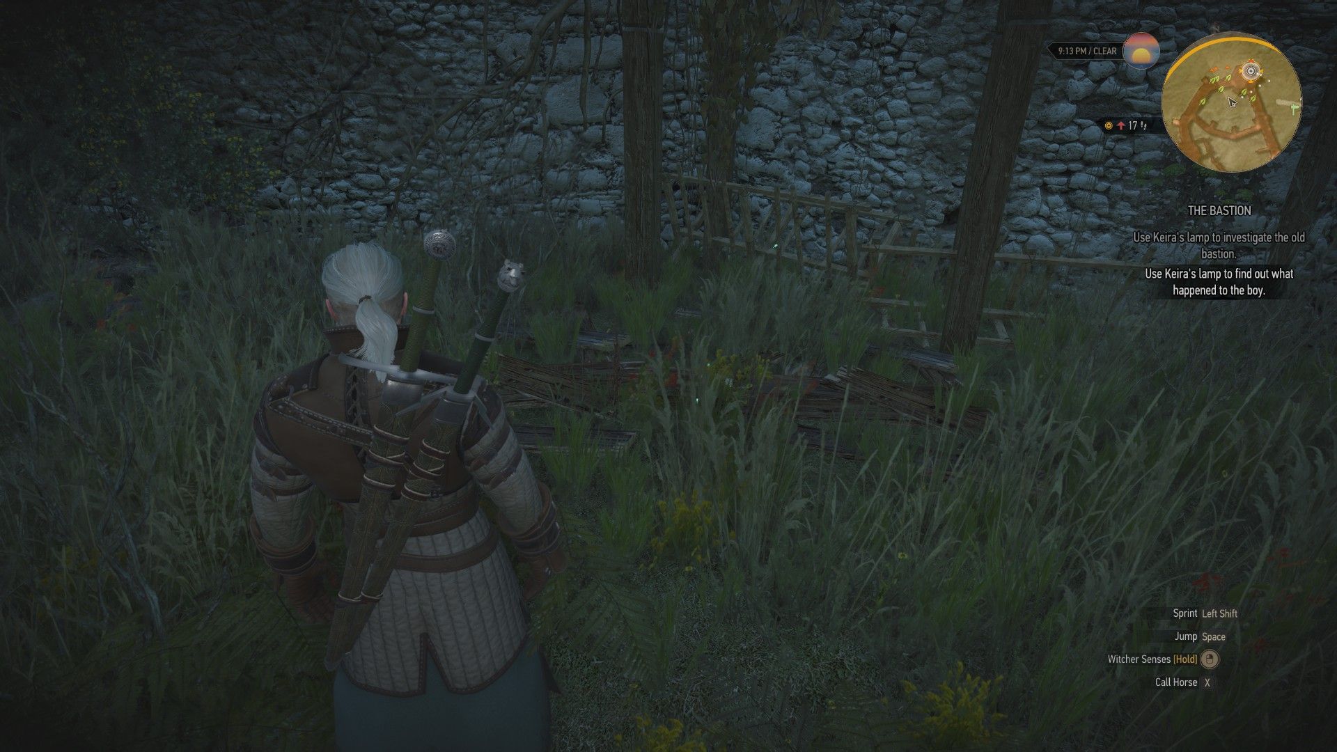 A screenshot of Geralt standing in a field in front of glowing green motes.