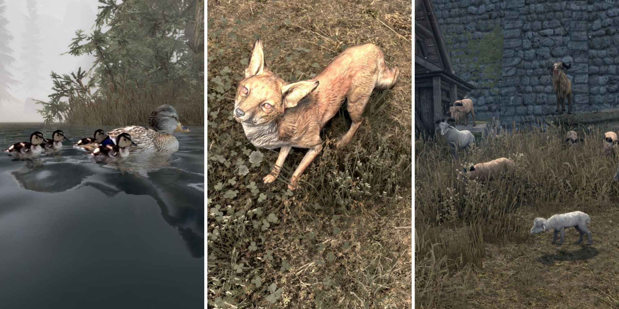 Skyrim: Best Animal Mods