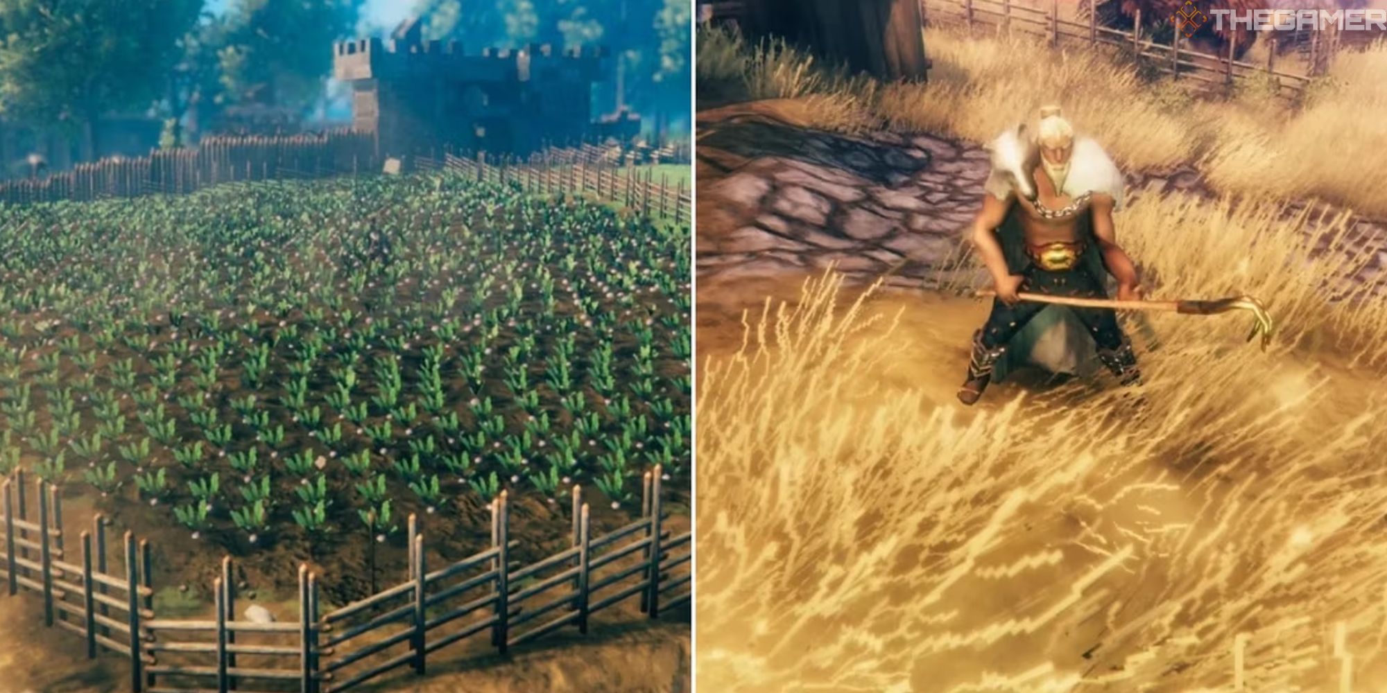 split image showing farmland next to image of player with a cultivator