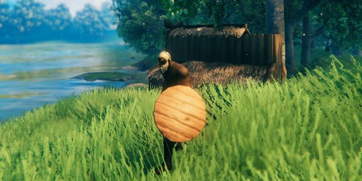 Wood Shield