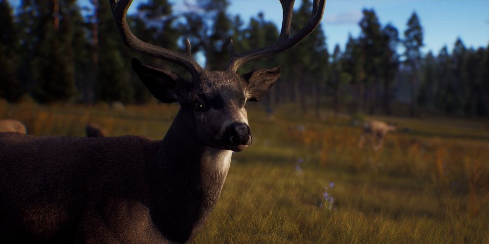 a buck in the opening cinematic of Way of the Hunter