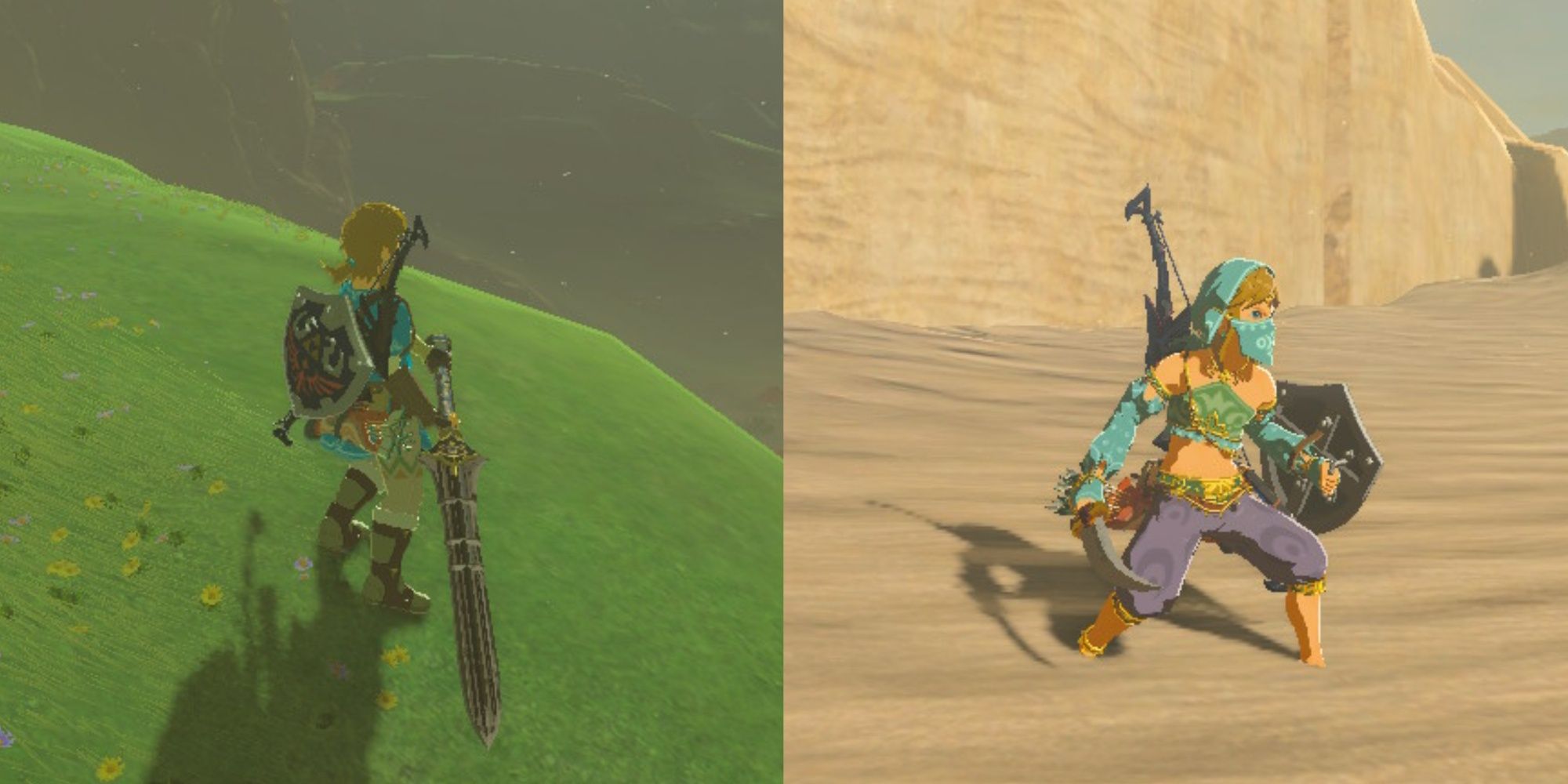 zelda-breath-of-the-wild-edge-of-duality-and-gerudo-scimitar.jpg