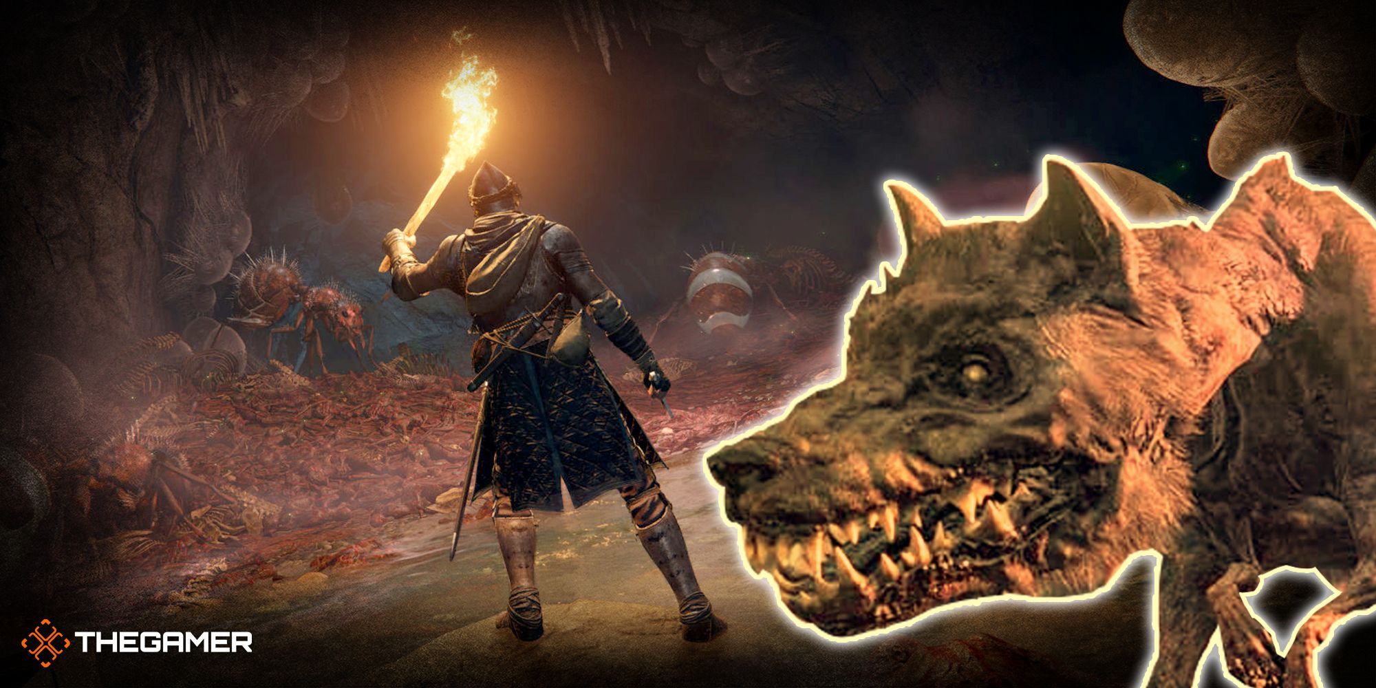 Elden Ring Fan Shocked Caelid’s Giant Dogs Can Be Repelled By A Torch