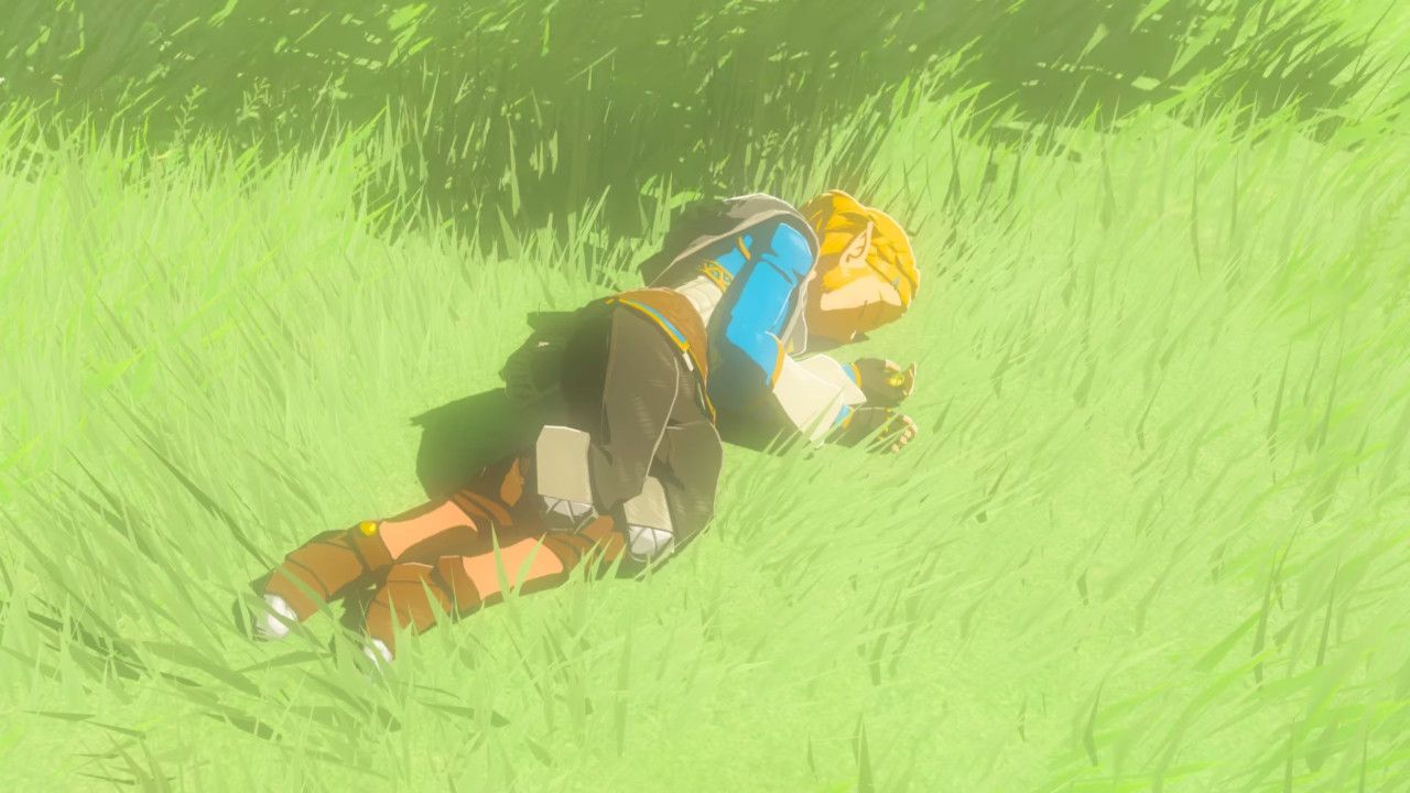 Zelda Laying Unconscious In Grass During Memory Three