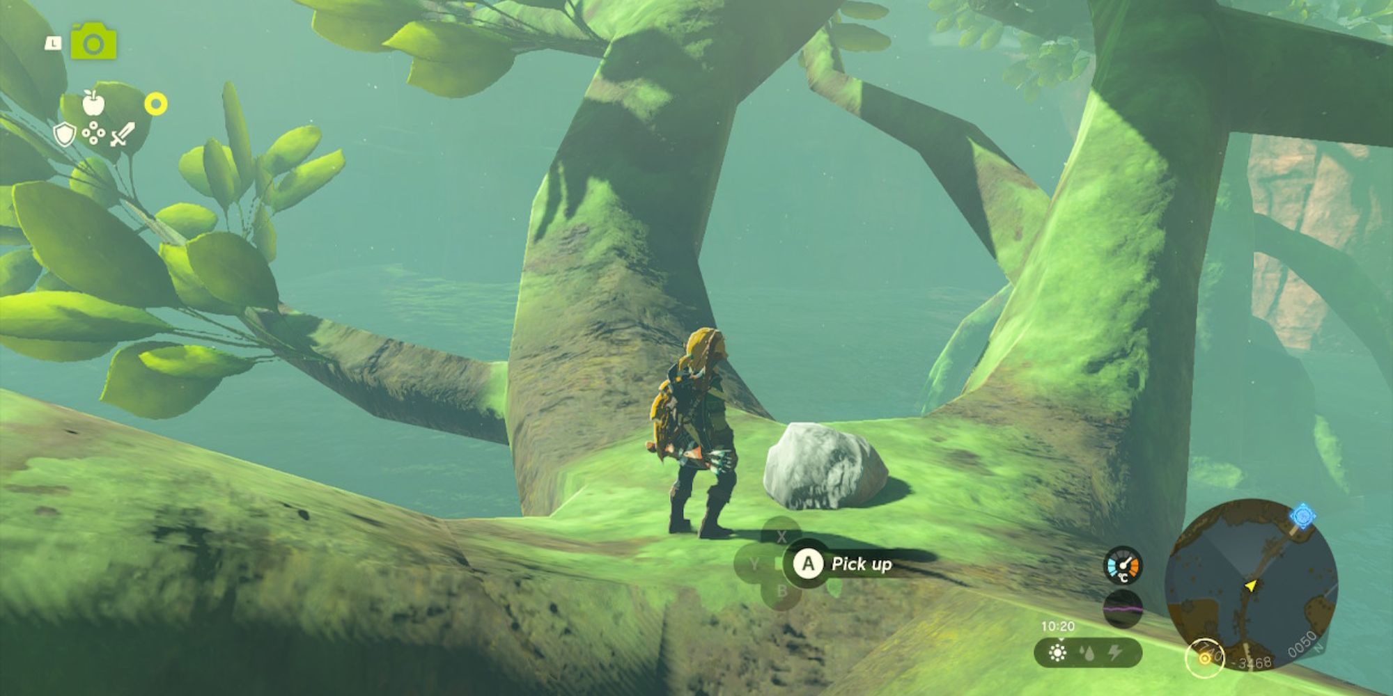 The Legend of Zelda: Tears of the Realm - Link Looking at a Strange Rock