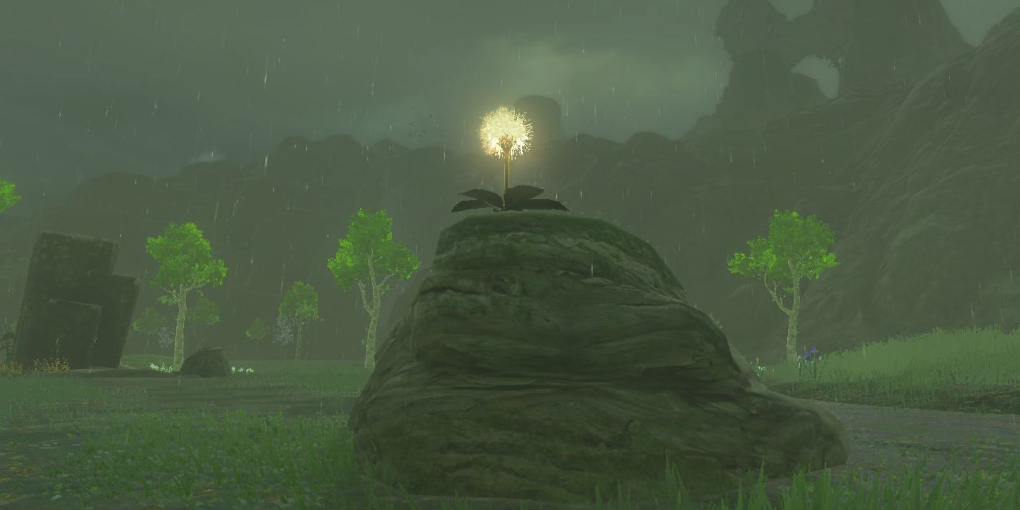 The Legend of Zelda: Tears of the Realm - A yellow flower sat on a tall rock