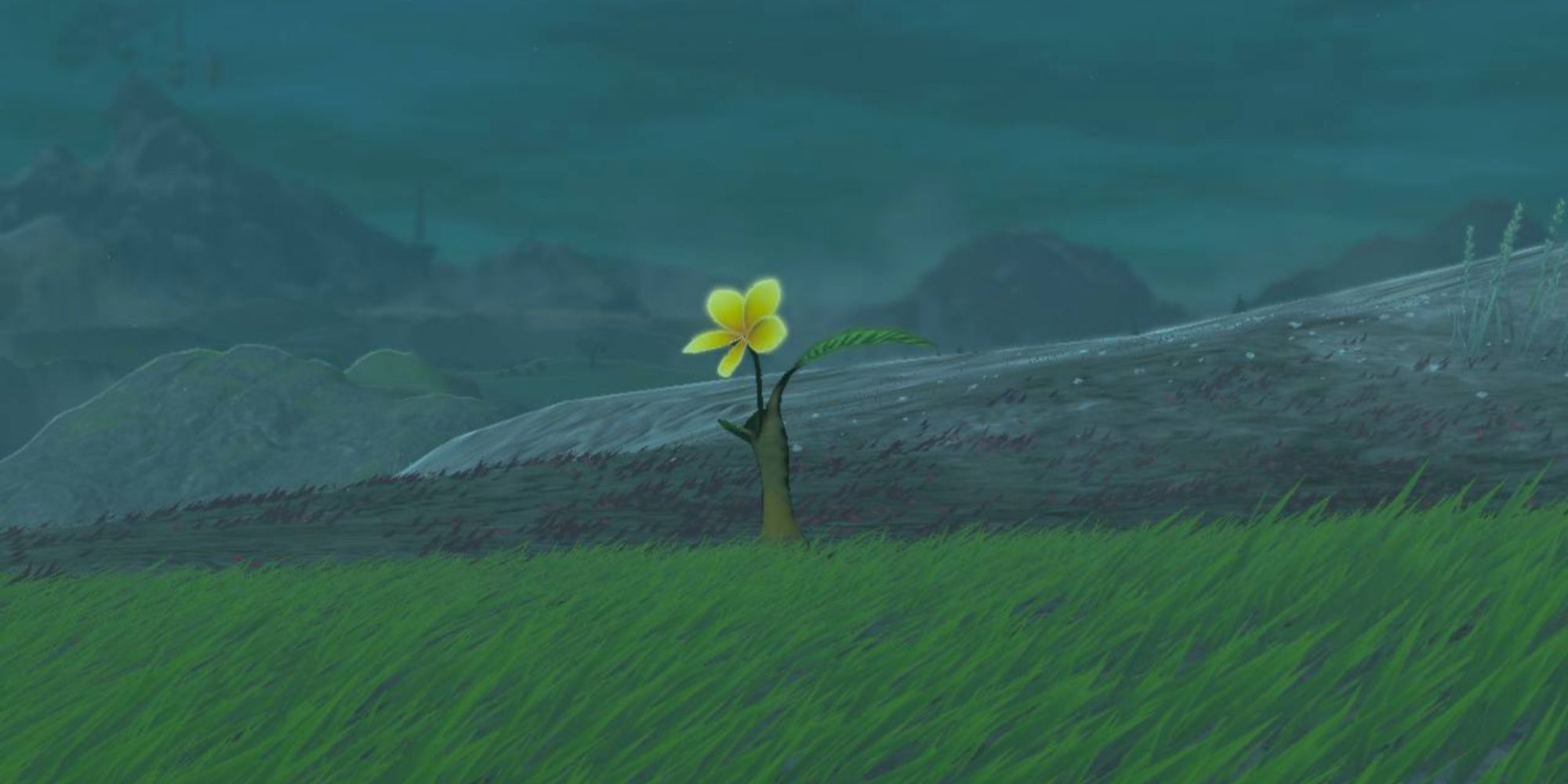 The Legend of Zelda: Tears of the Realm - A yellow flower that sits alone